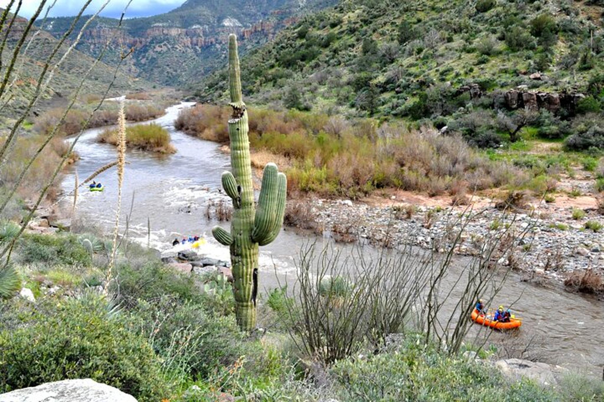 Phoenix Salt River Raft Trip - Image 2