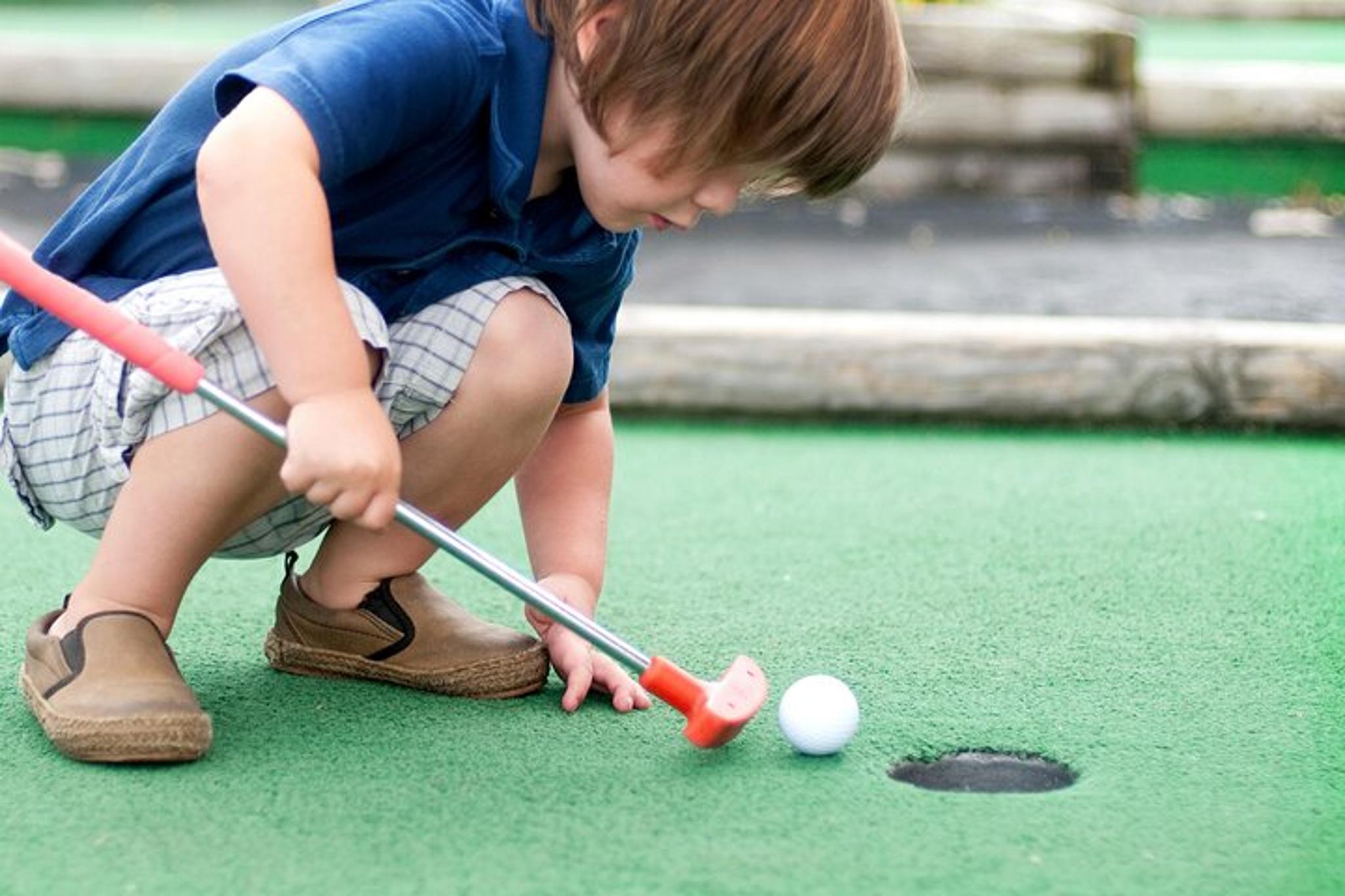 Bloomington Moose Mountain Adventure Golf - Image 6