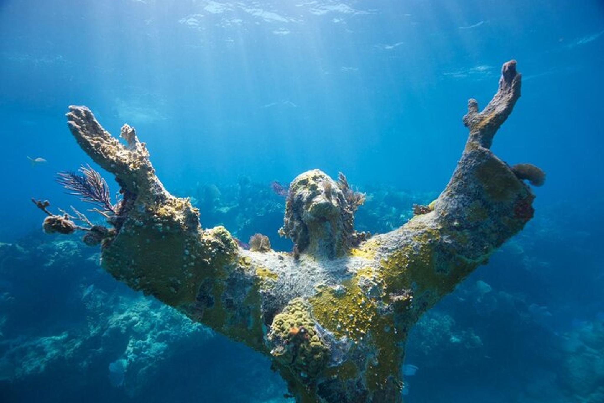 Key Largo Shallow Scuba Diving Trip - Image 1