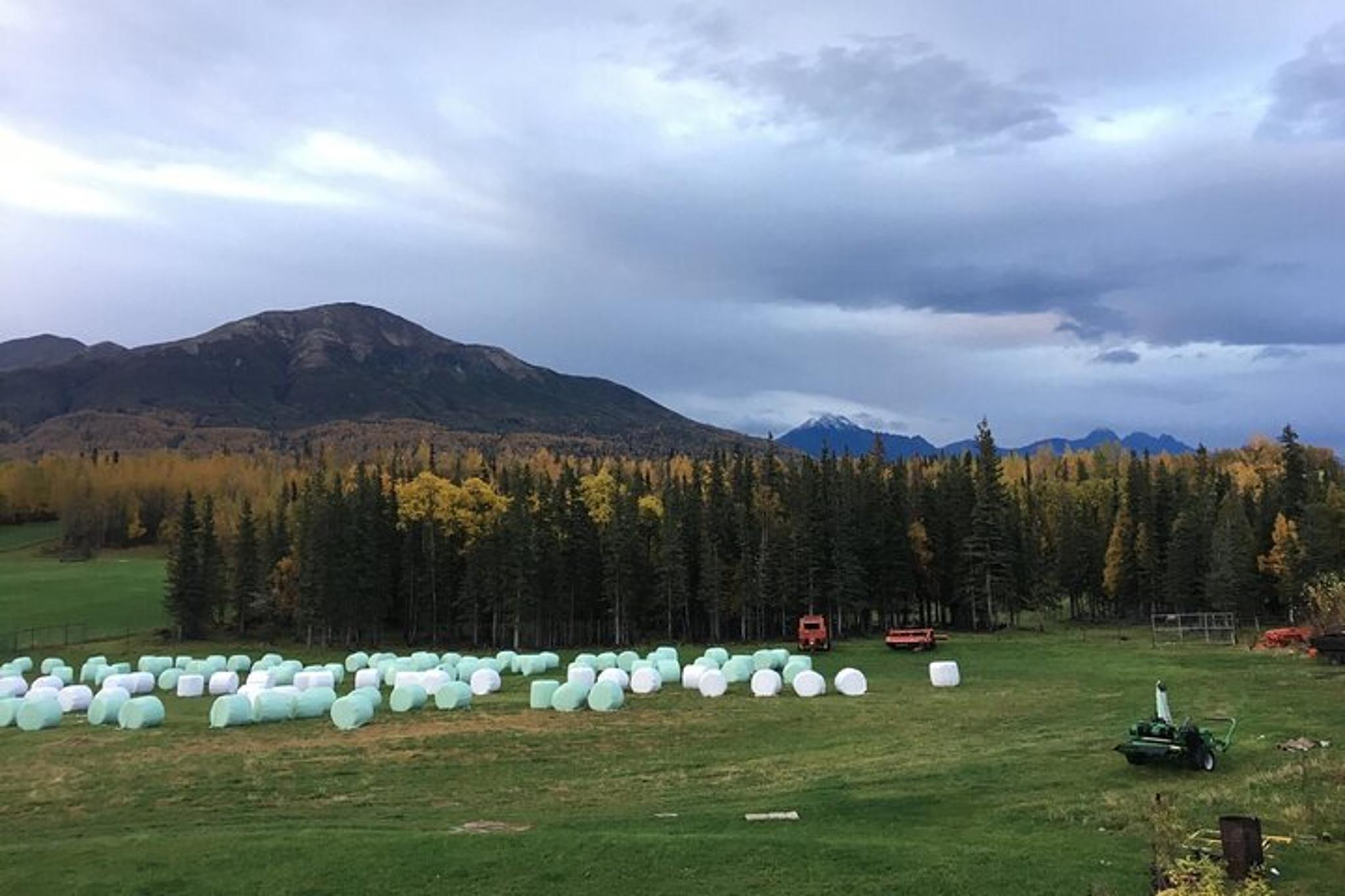 Alaska Zipline and Homestead Tour - Image 5