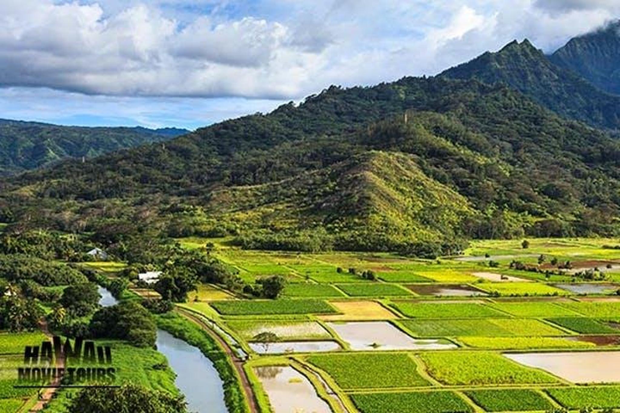 Kauai Movie Locations Tour - Image 6