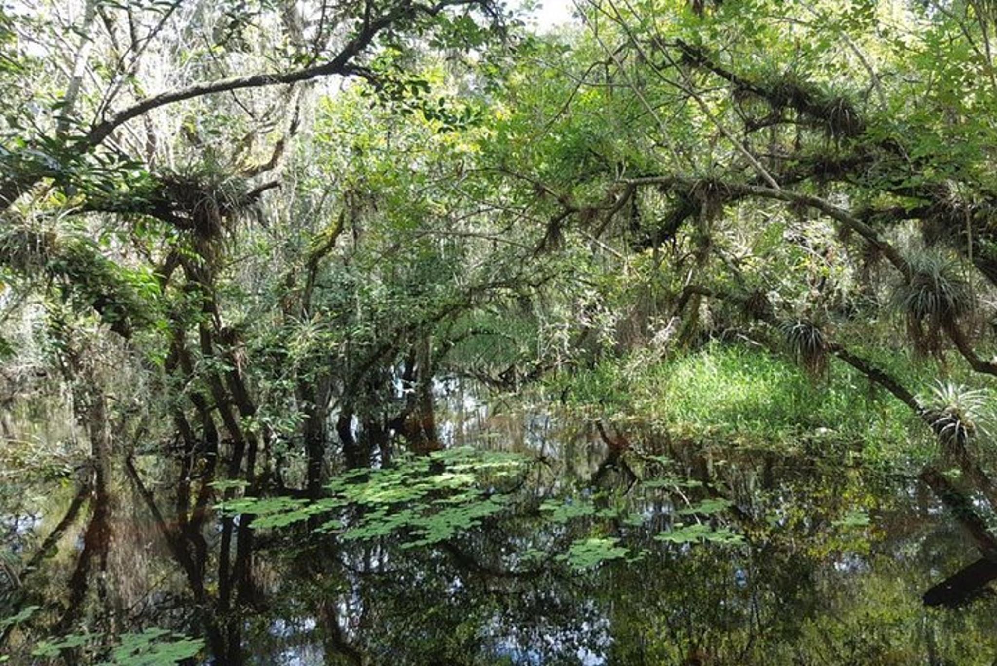 Everglades National Park Biologist Led Adventure - Image 3