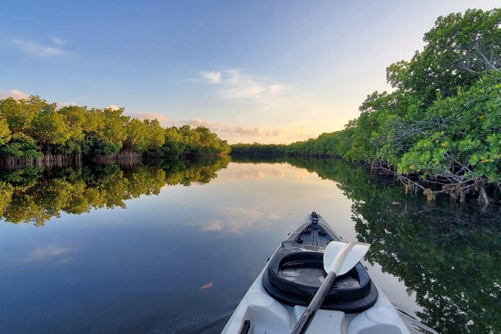 Florida Keys Mangrove Kayak Tour - Image 1