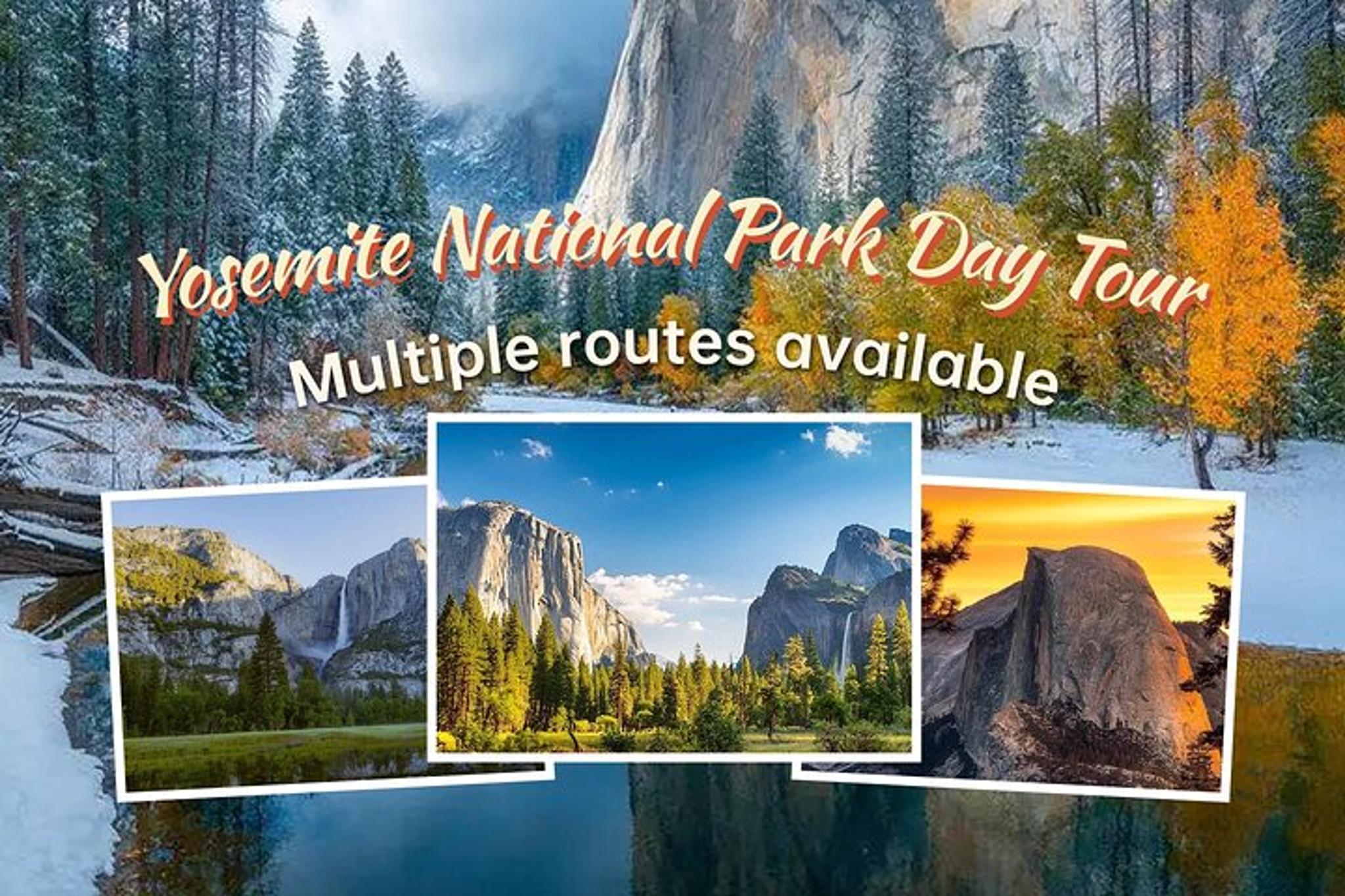 San Francisco Yosemite Private Day Tour