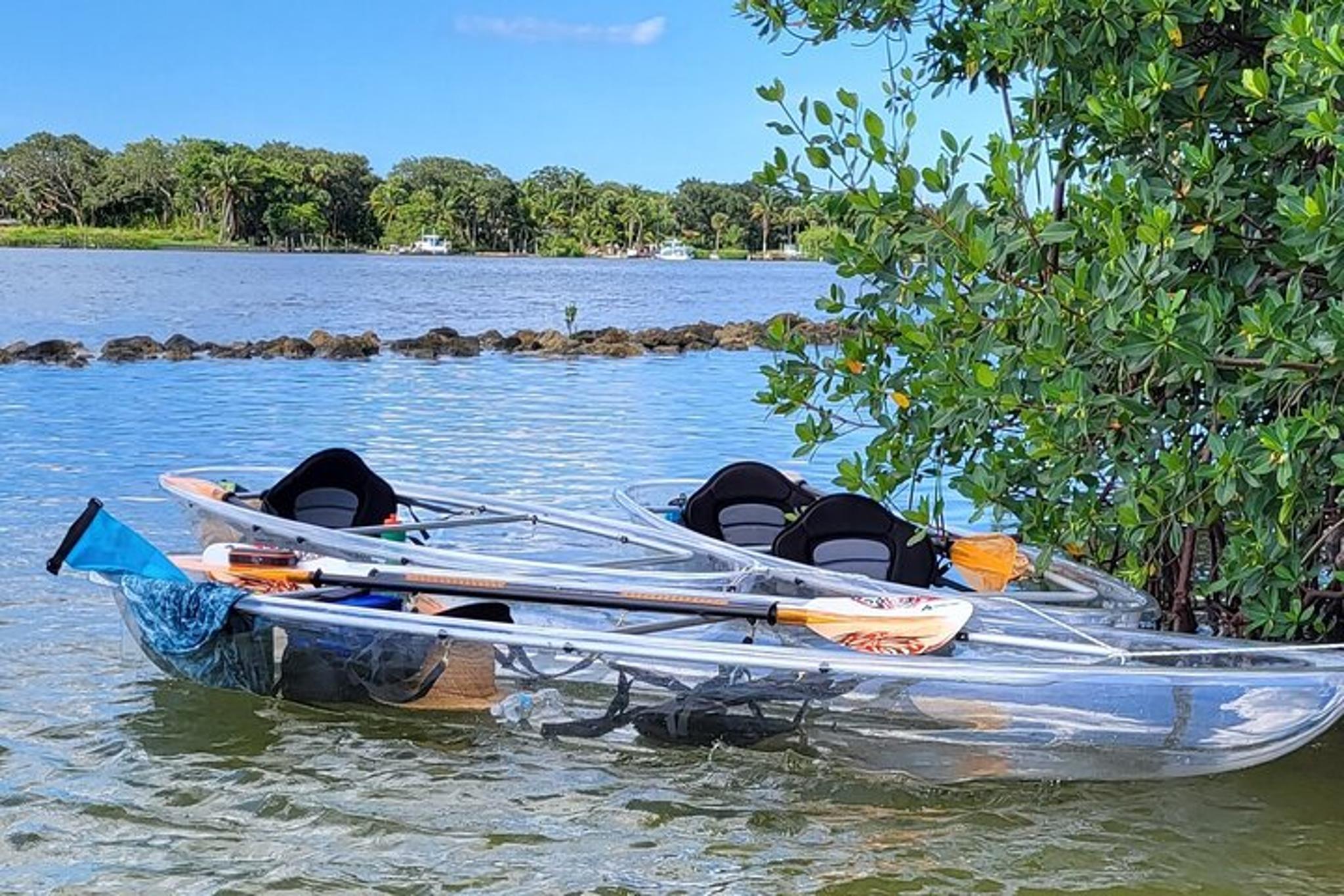 Jupiter Clear Kayak Eco Tour - Image 2