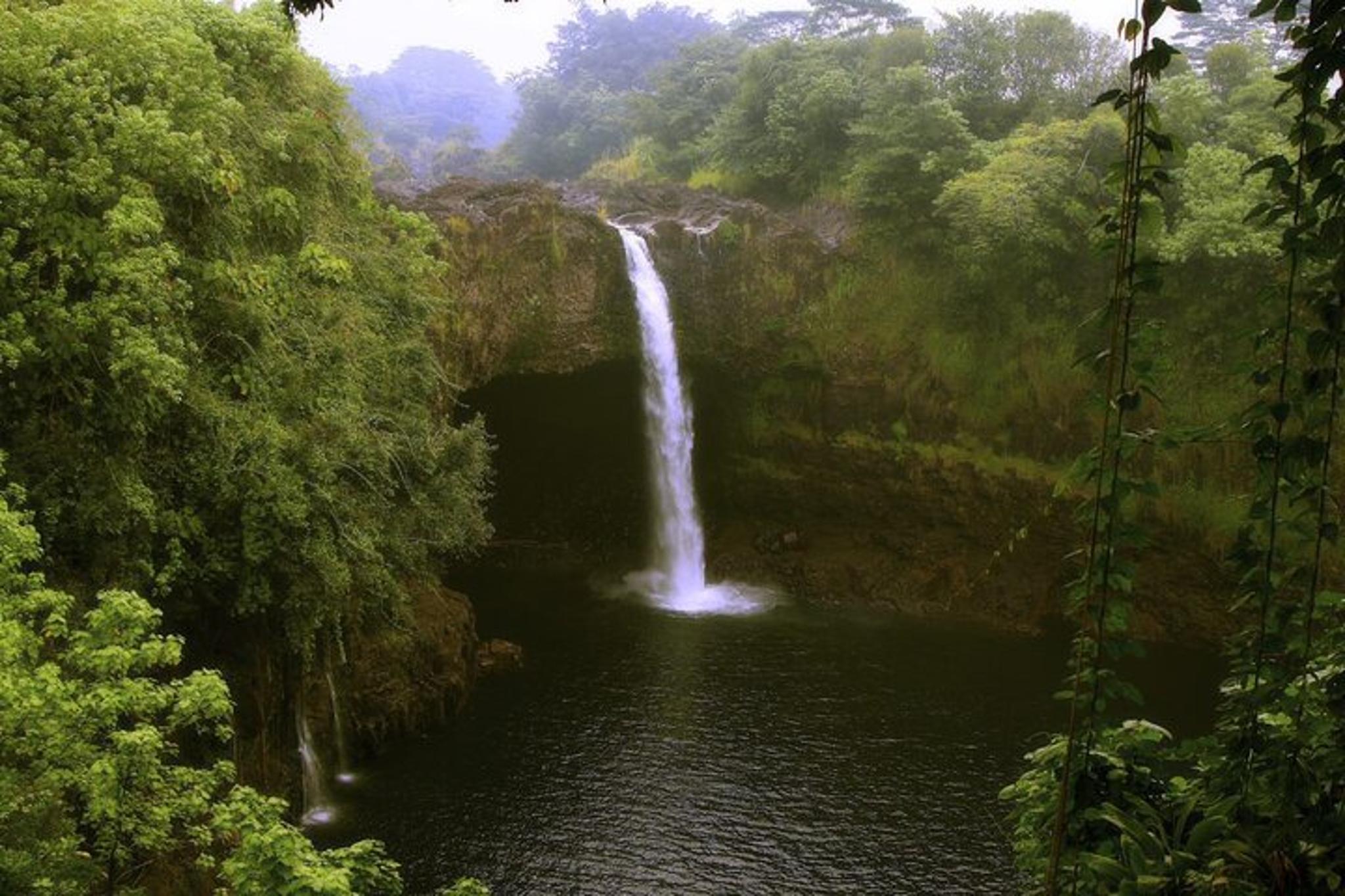 Hilo Volcano National Park Cruise Tour - Image 6