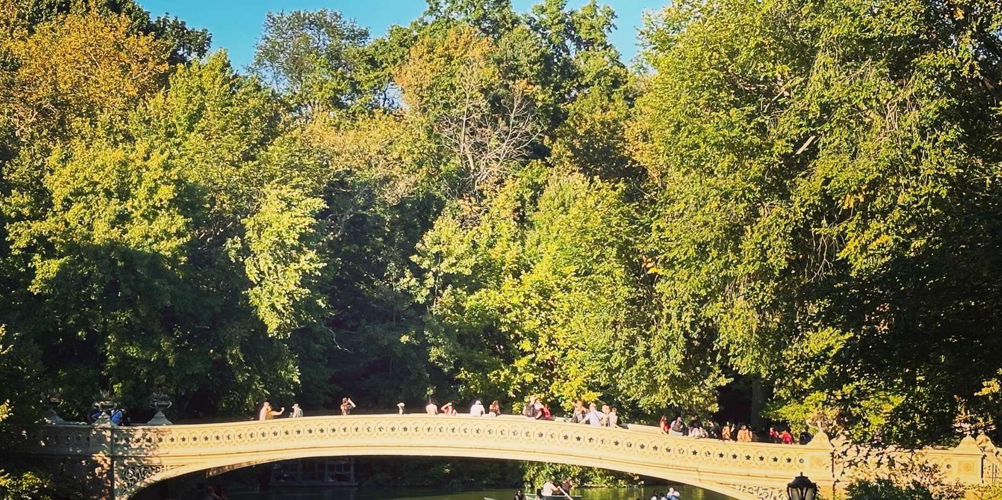 New York Central Park Movie & Celebrity Pedicab Tour 1.5 hr - Image 3