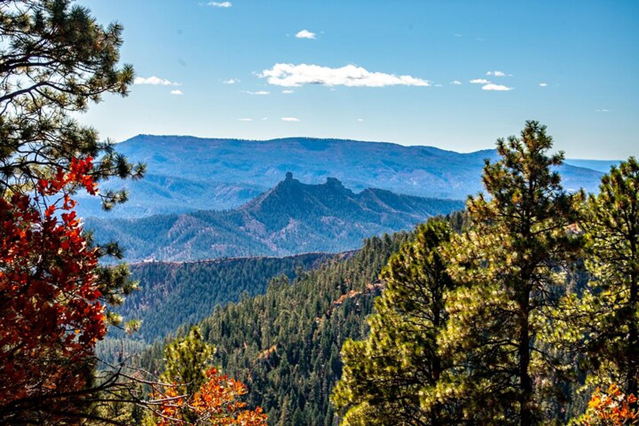 Denver Peak-to-Peak Fall-Color Tour - Image 4