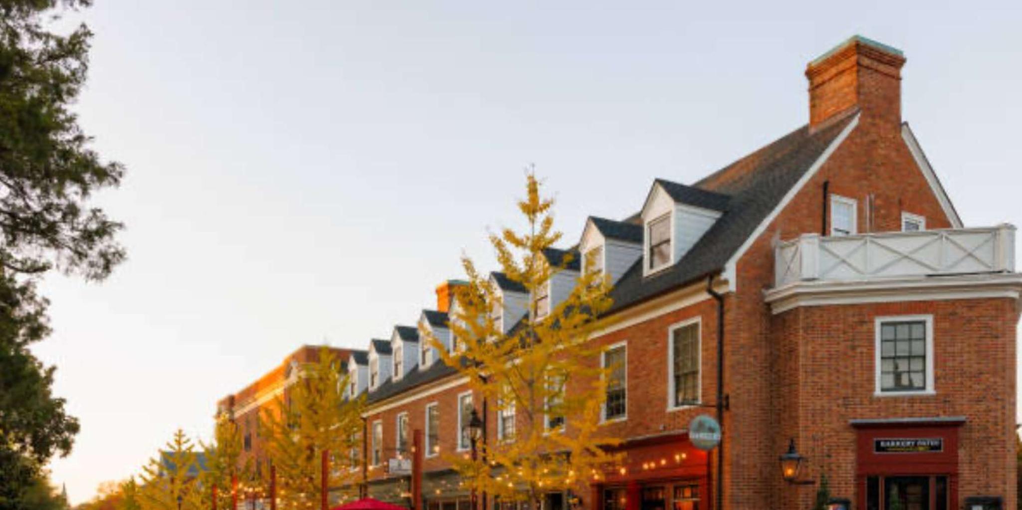 Williamsburg Colonial History Walking Tour - Image 1