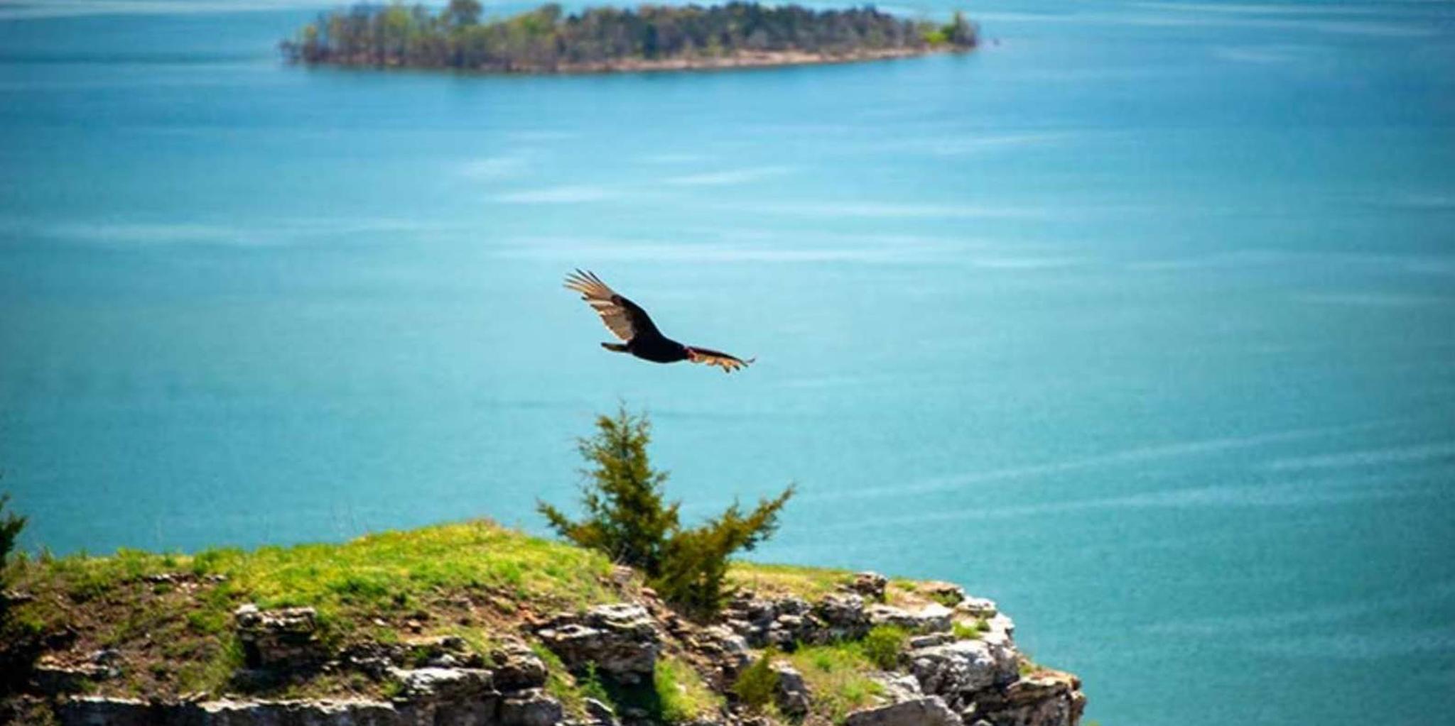 Branson 4x4 Tour: Downtown, Lake & Baird Mountain - Image 5