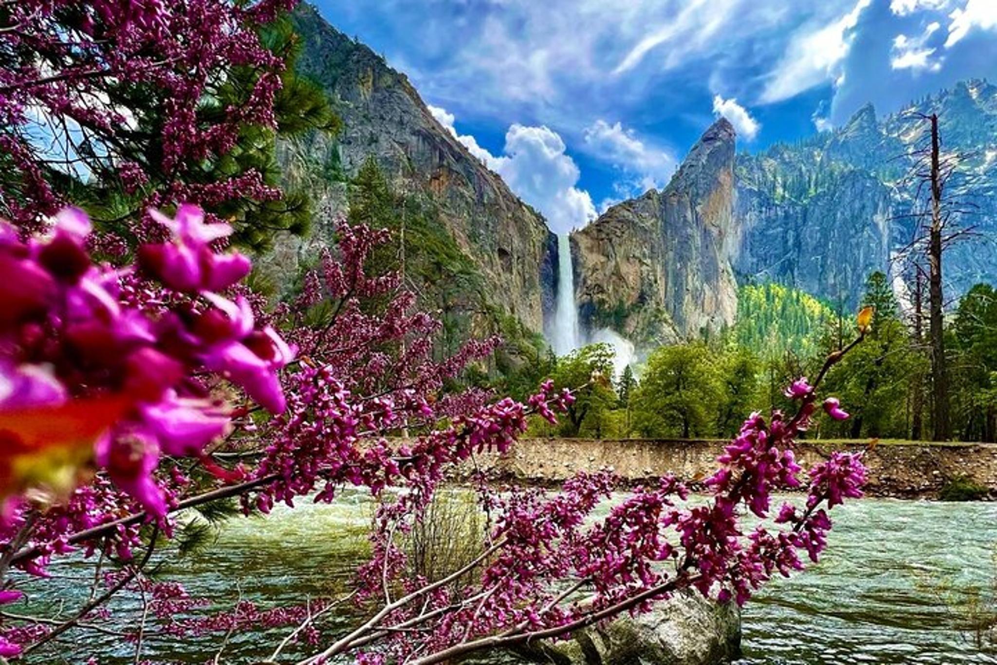 Yosemite National Park 5-Day Tour - Image 4