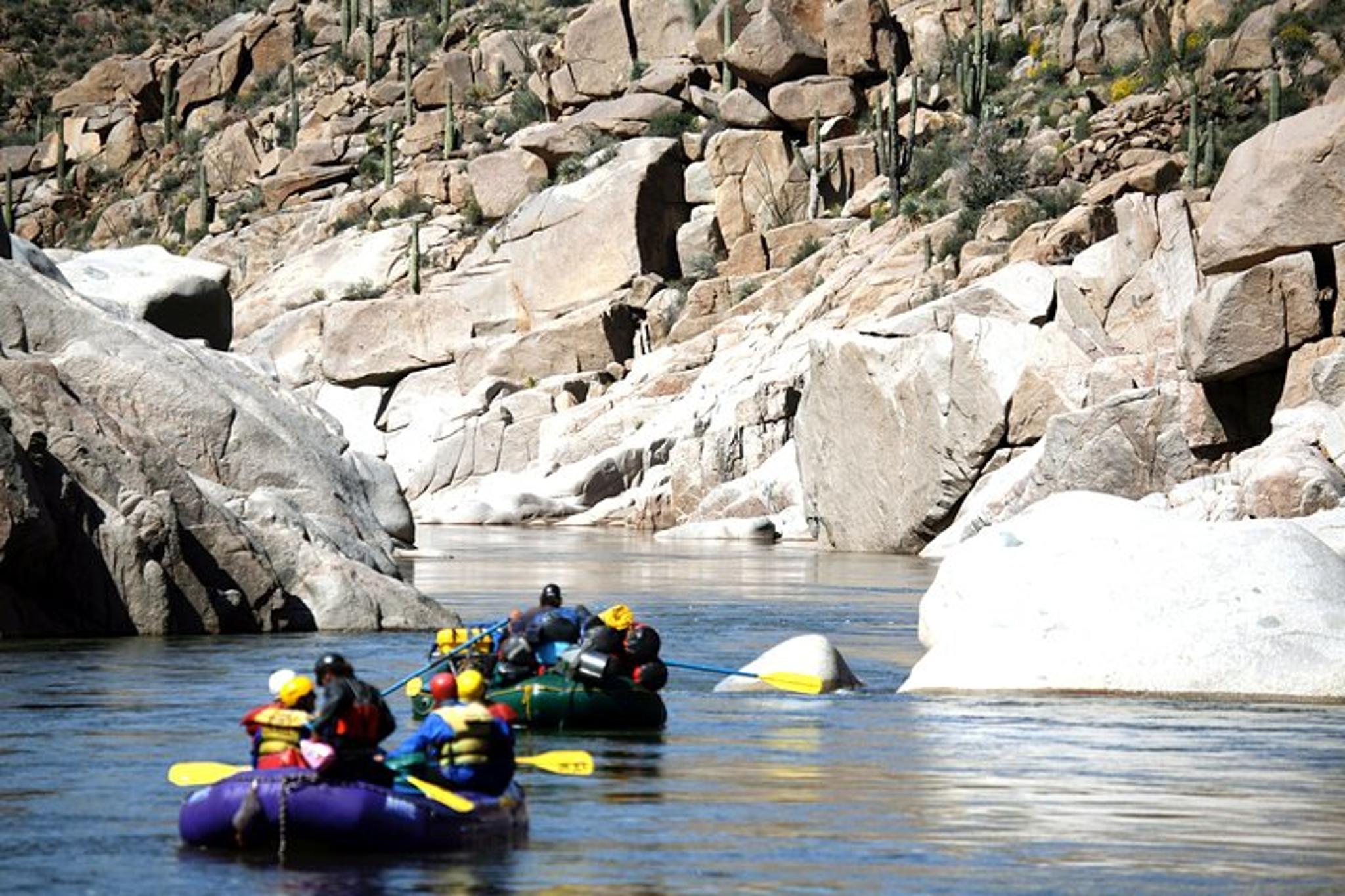 Salt River Raft Trip