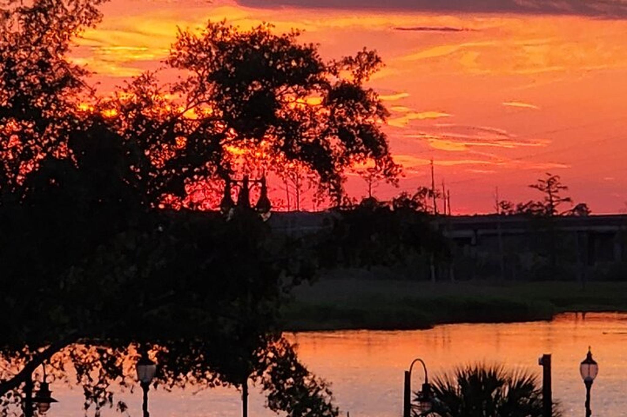 Wilmington E-Bike Tour at Sunset 1 hr 15 min - Image 4