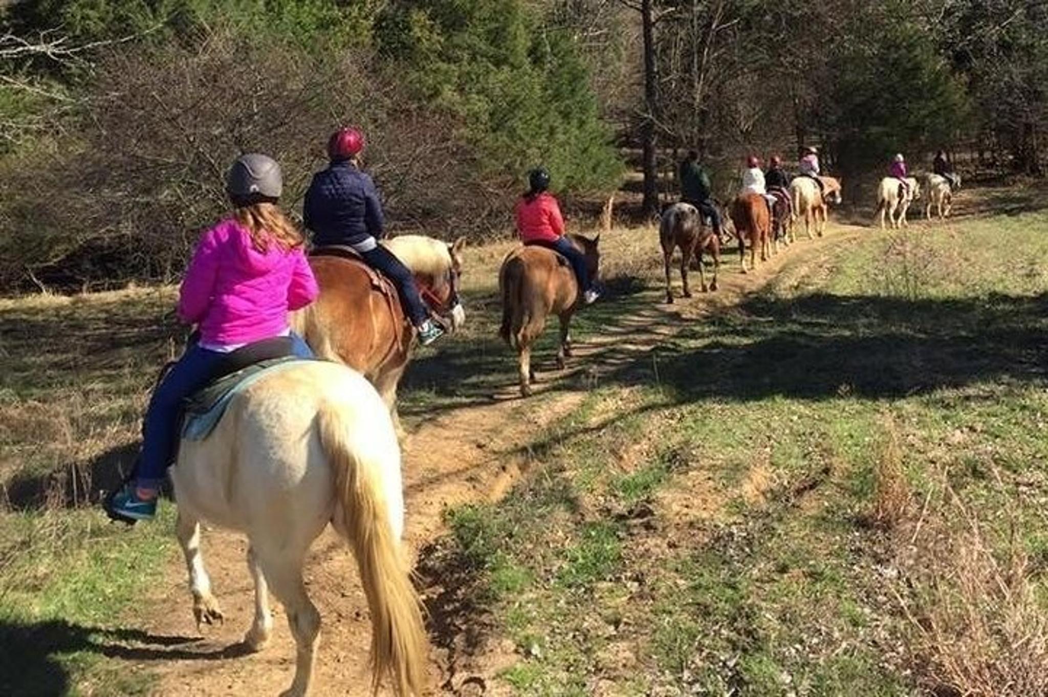 Memphis Horseback Trail Ride 1 Hour - Image 3