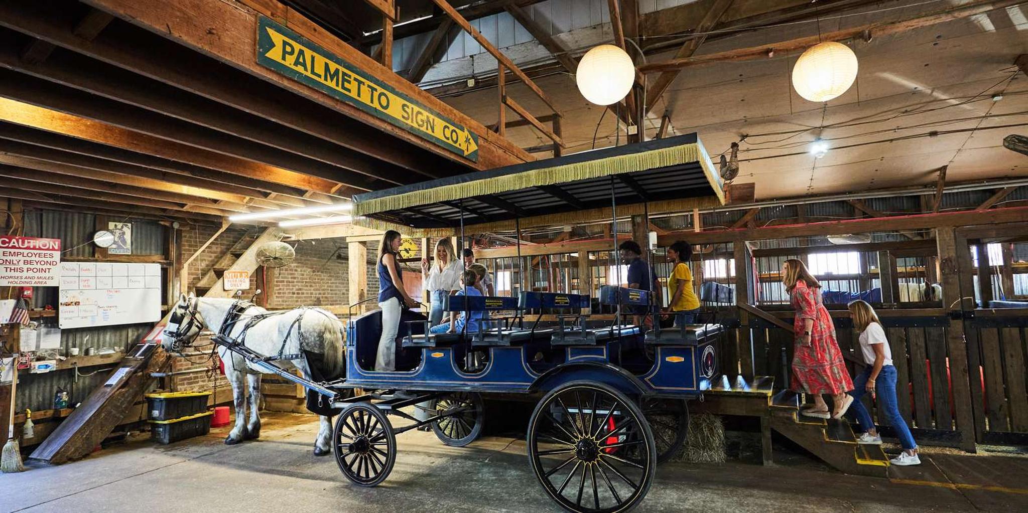 Charleston Horse-Drawn Carriage Tour - Image 3