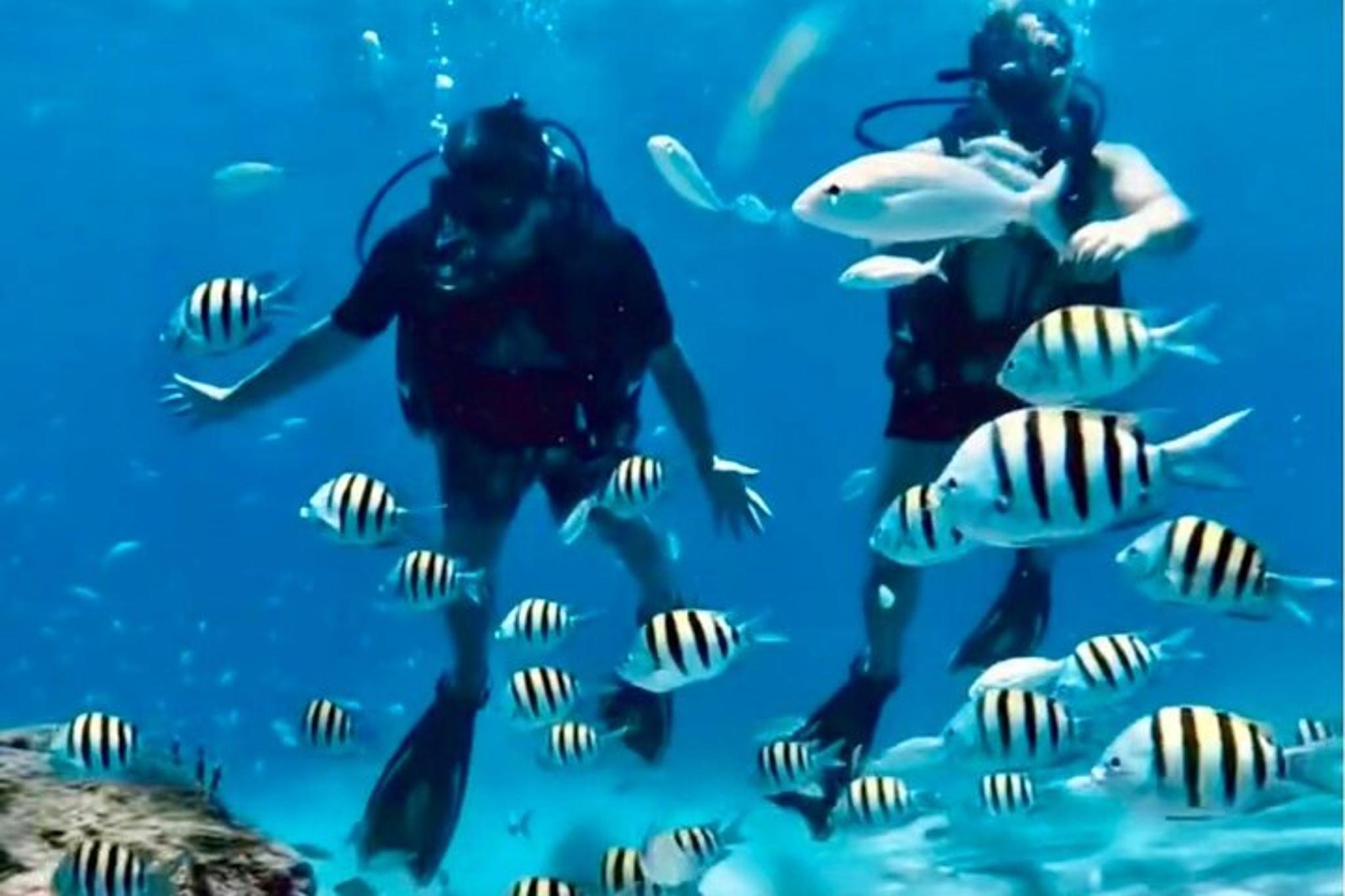 West Palm Beach Scuba Diving with Turtles 90 min - Image 4