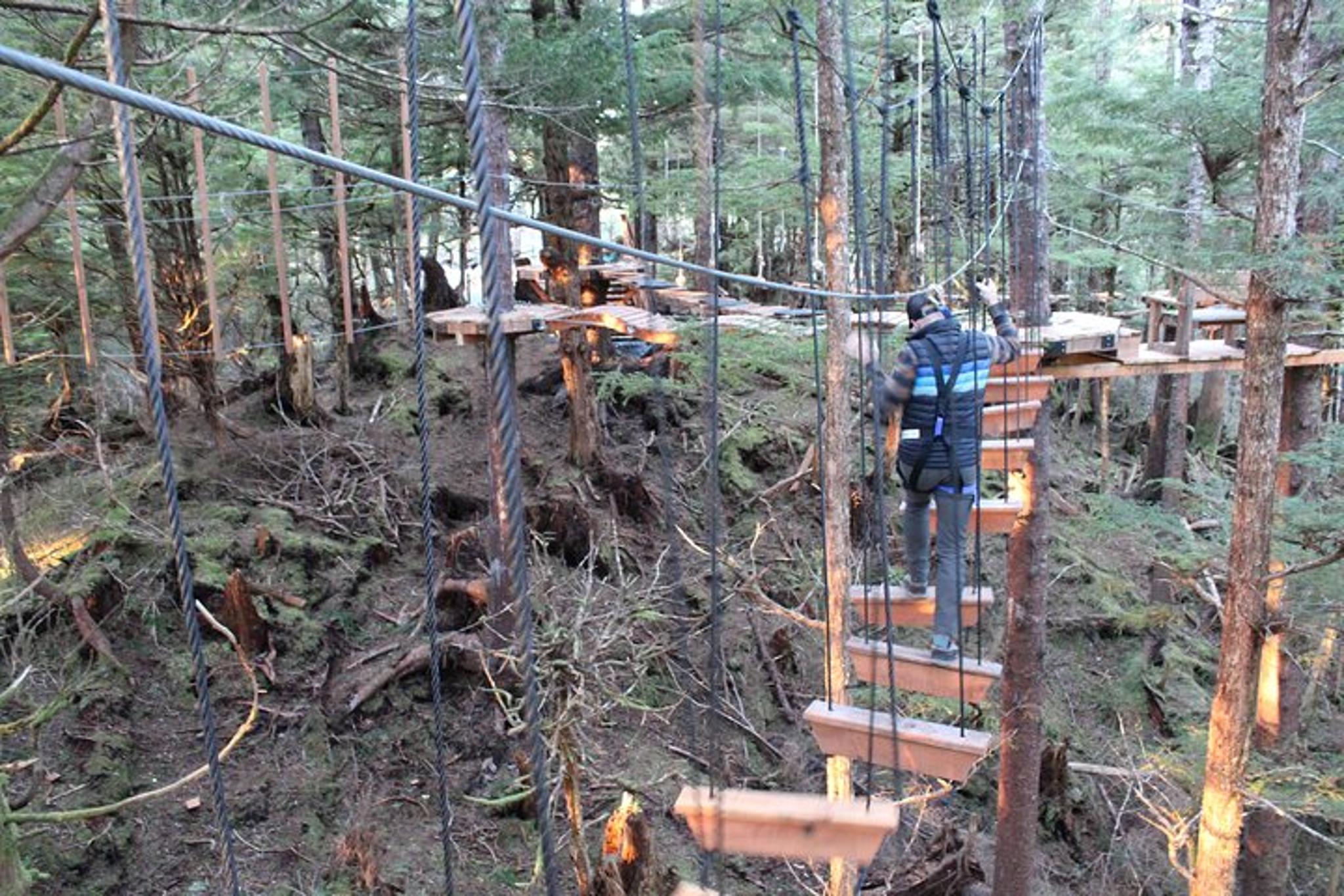 Sitka Aerial Adventure Ropes Course 2 hr - Image 5