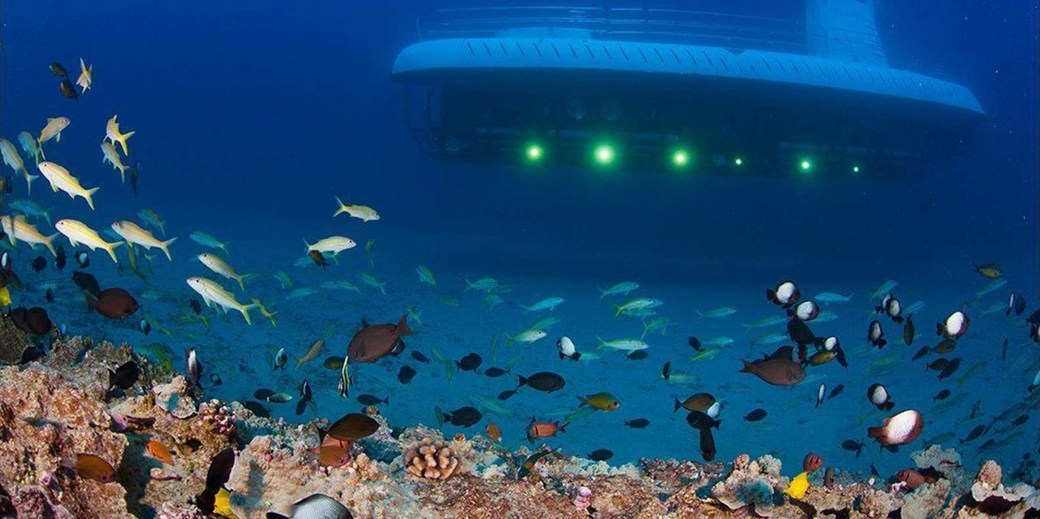 Maui Underwater Submarine Adventure - Image 4