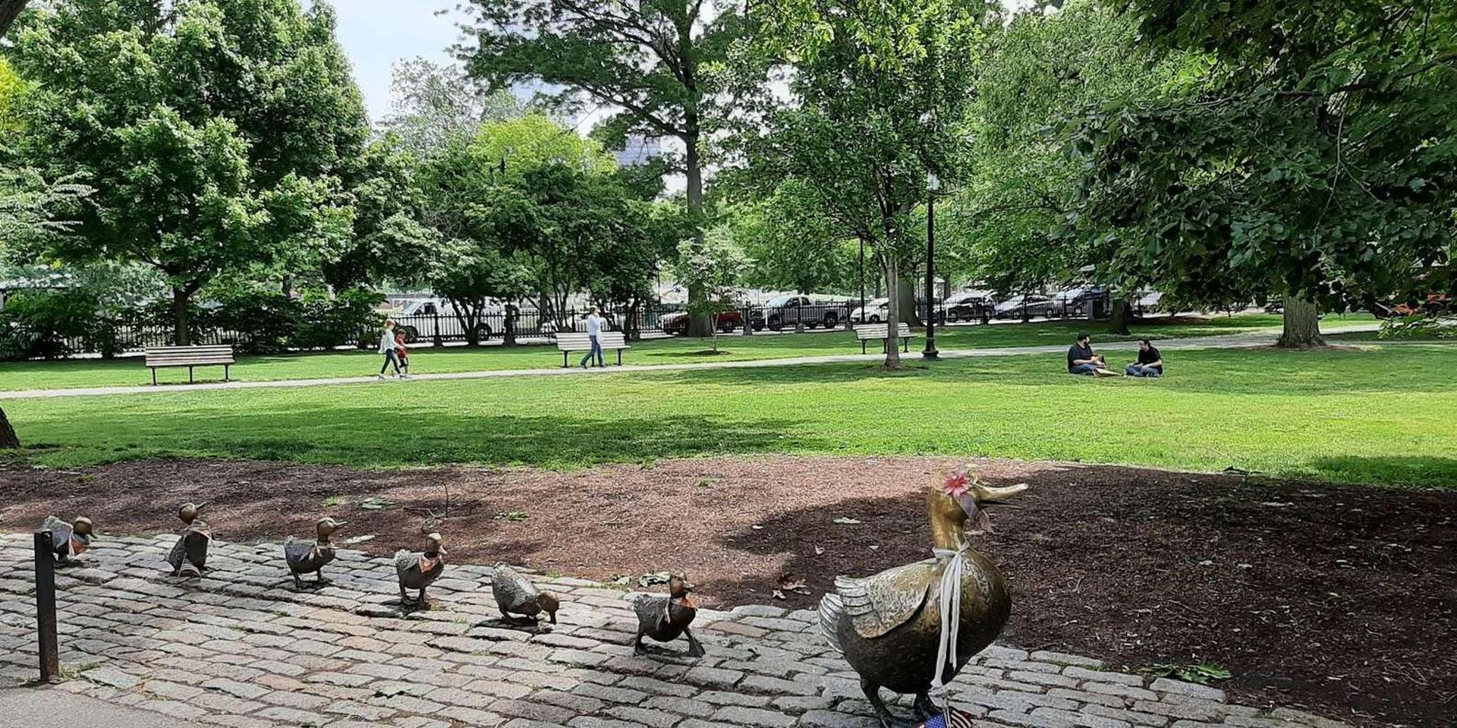 Boston Walking and Driving Tour