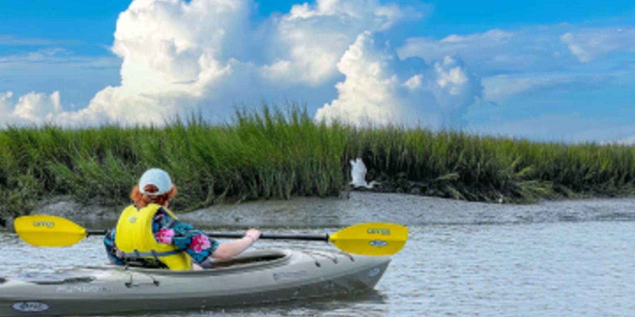 Hilton Head Private Outback Kayak Tour - Image 2