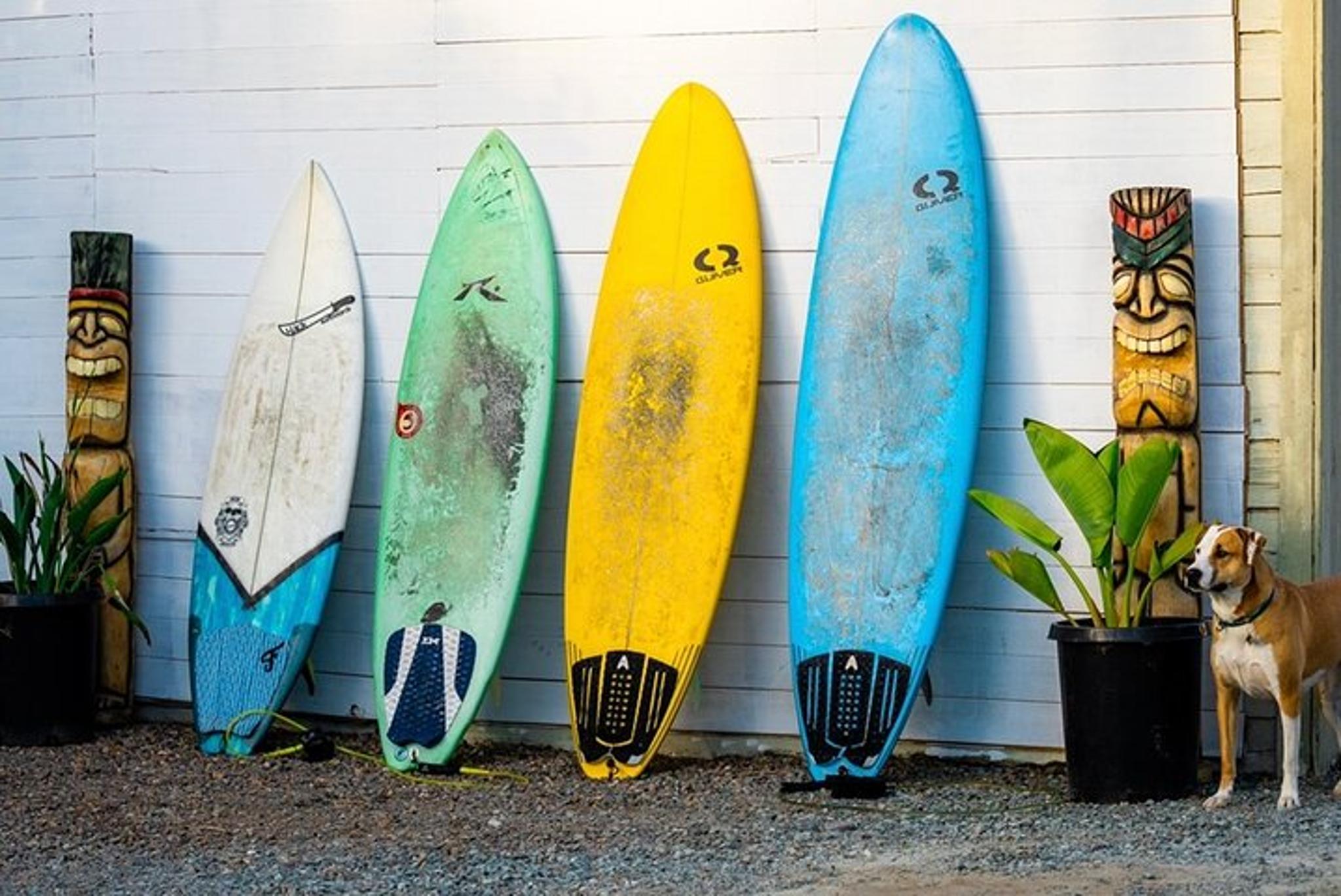 Solana Beach Surfboard Rental - Image 2