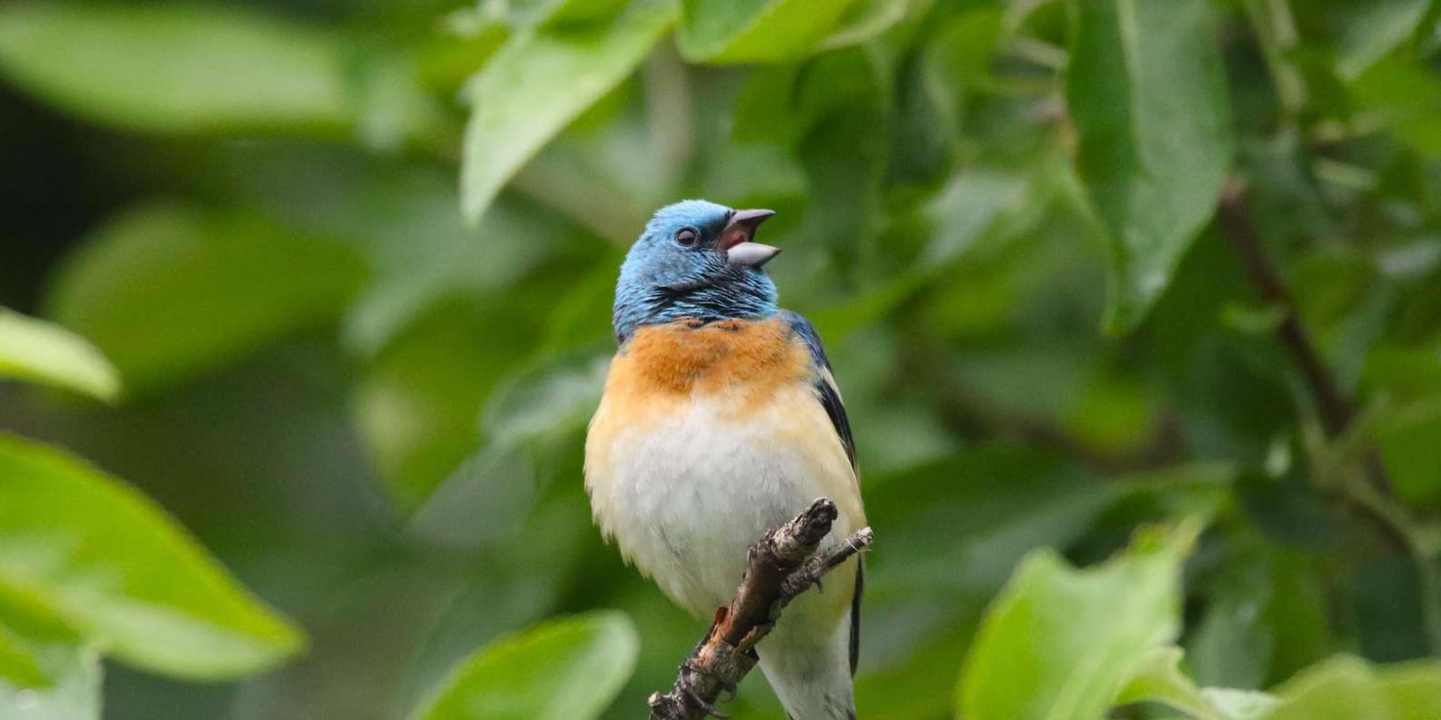 Denver Red Rocks Hike and Hot Spring Soak 8 hr - Image 2