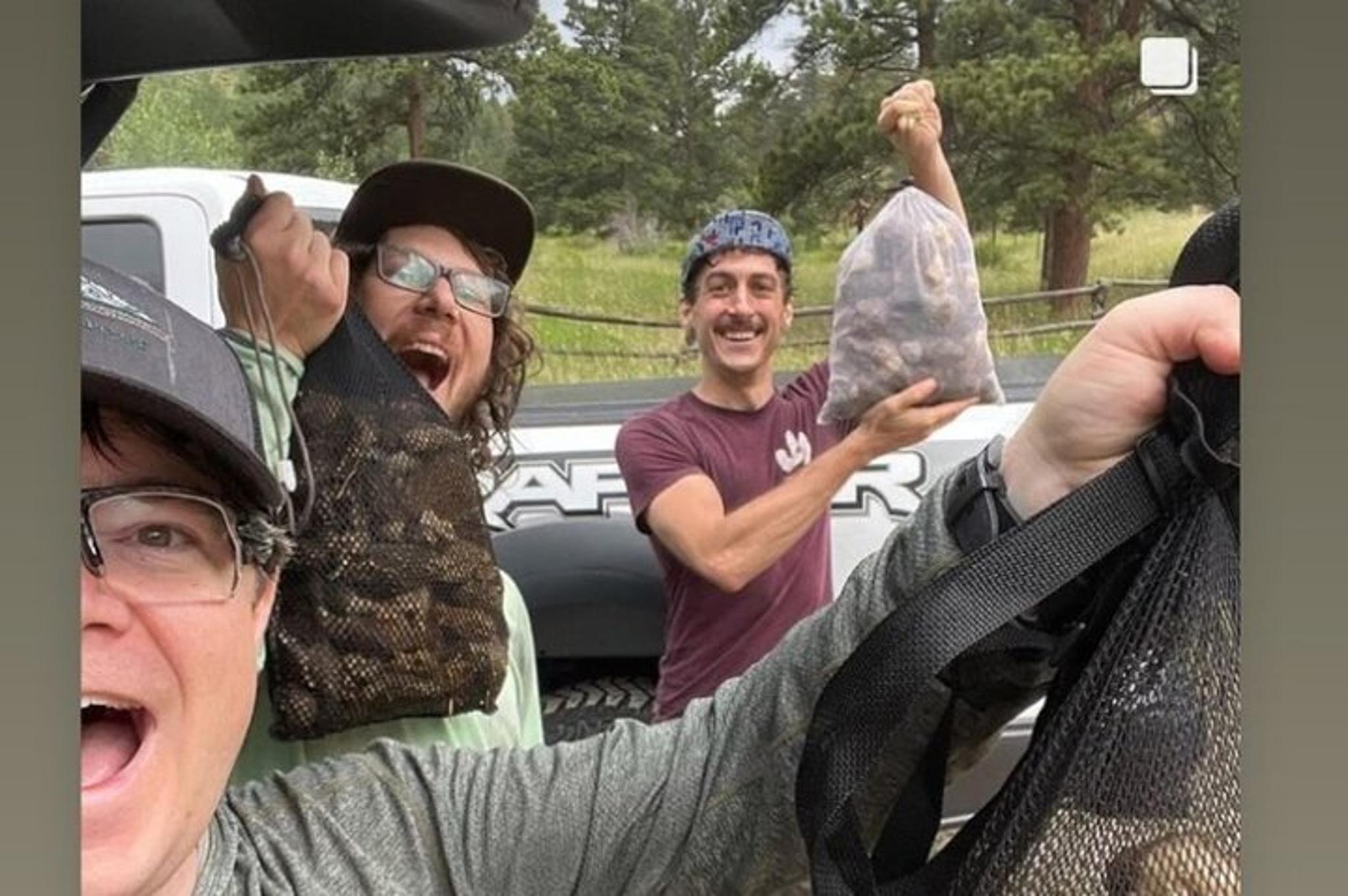 Boulder Foraging Experience in the Rocky Mountains - Image 2