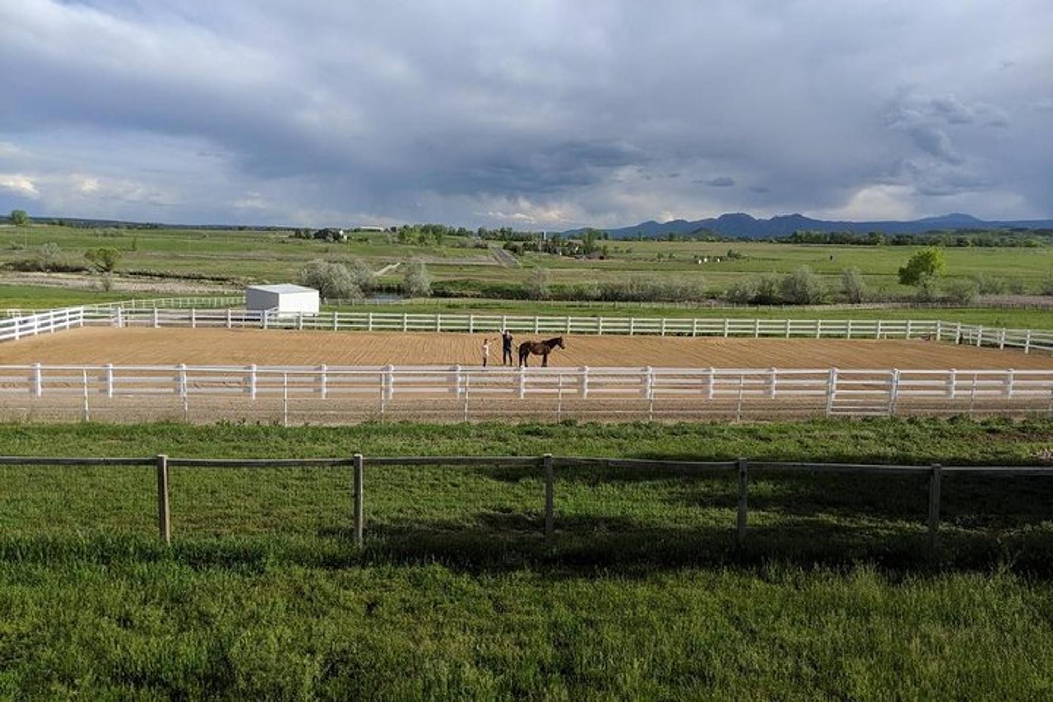Boulder Leadership & Mindfulness Retreat with Horses - Image 5
