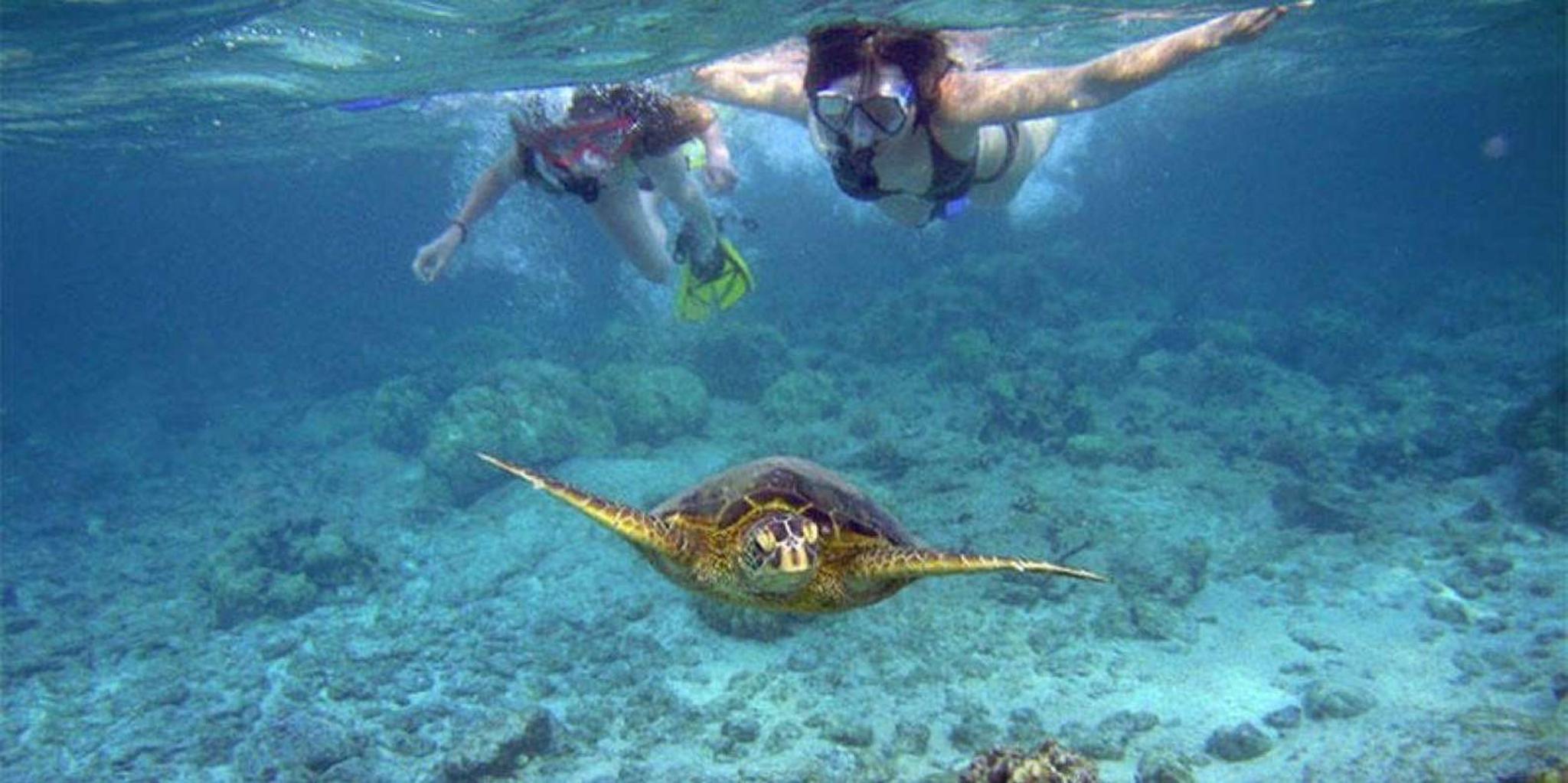 Kihei Sea Caves and Molokini Snorkel Tour - Image 3