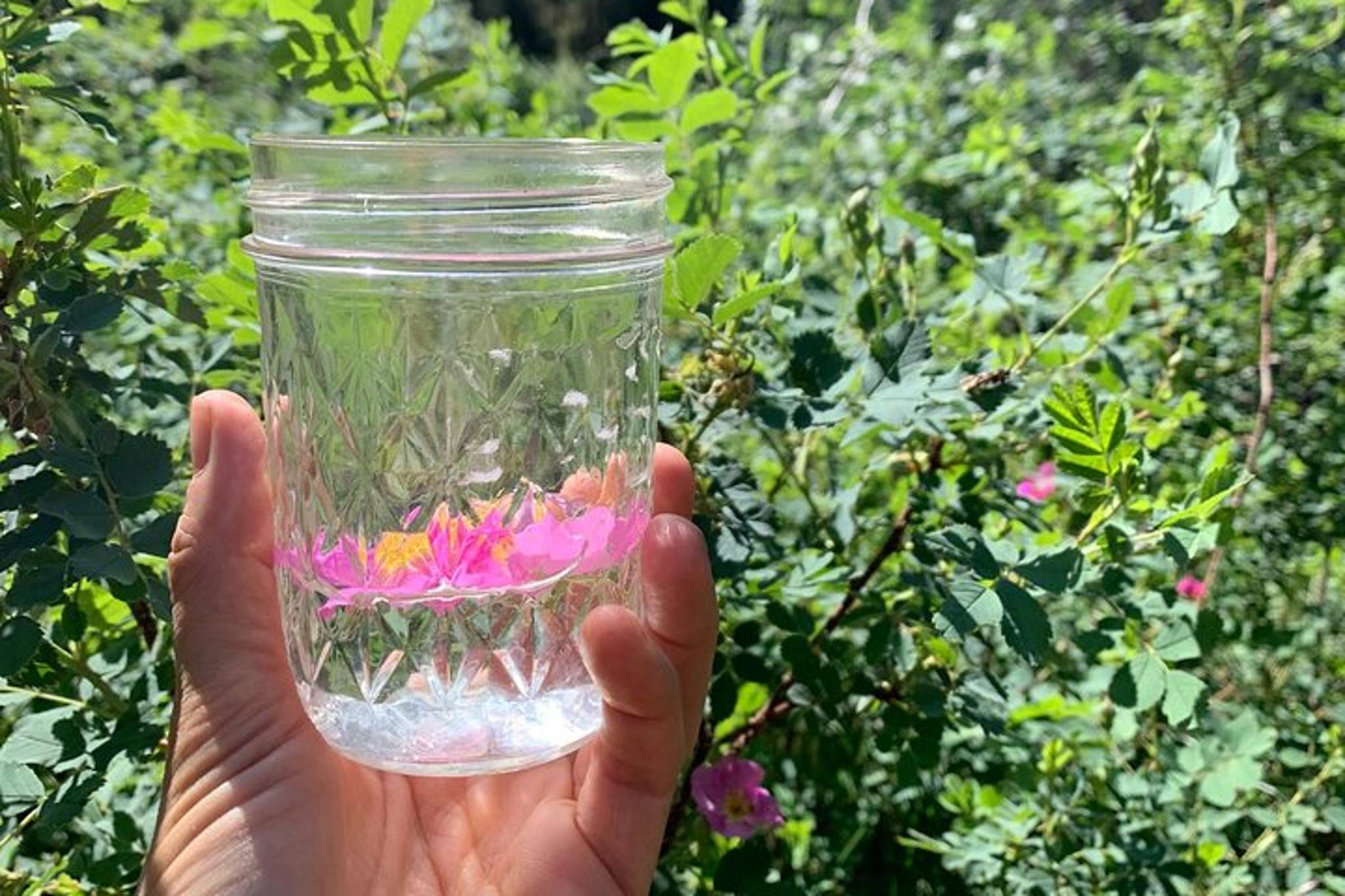 Albuquerque Flower Essence Creation Workshop - Image 5