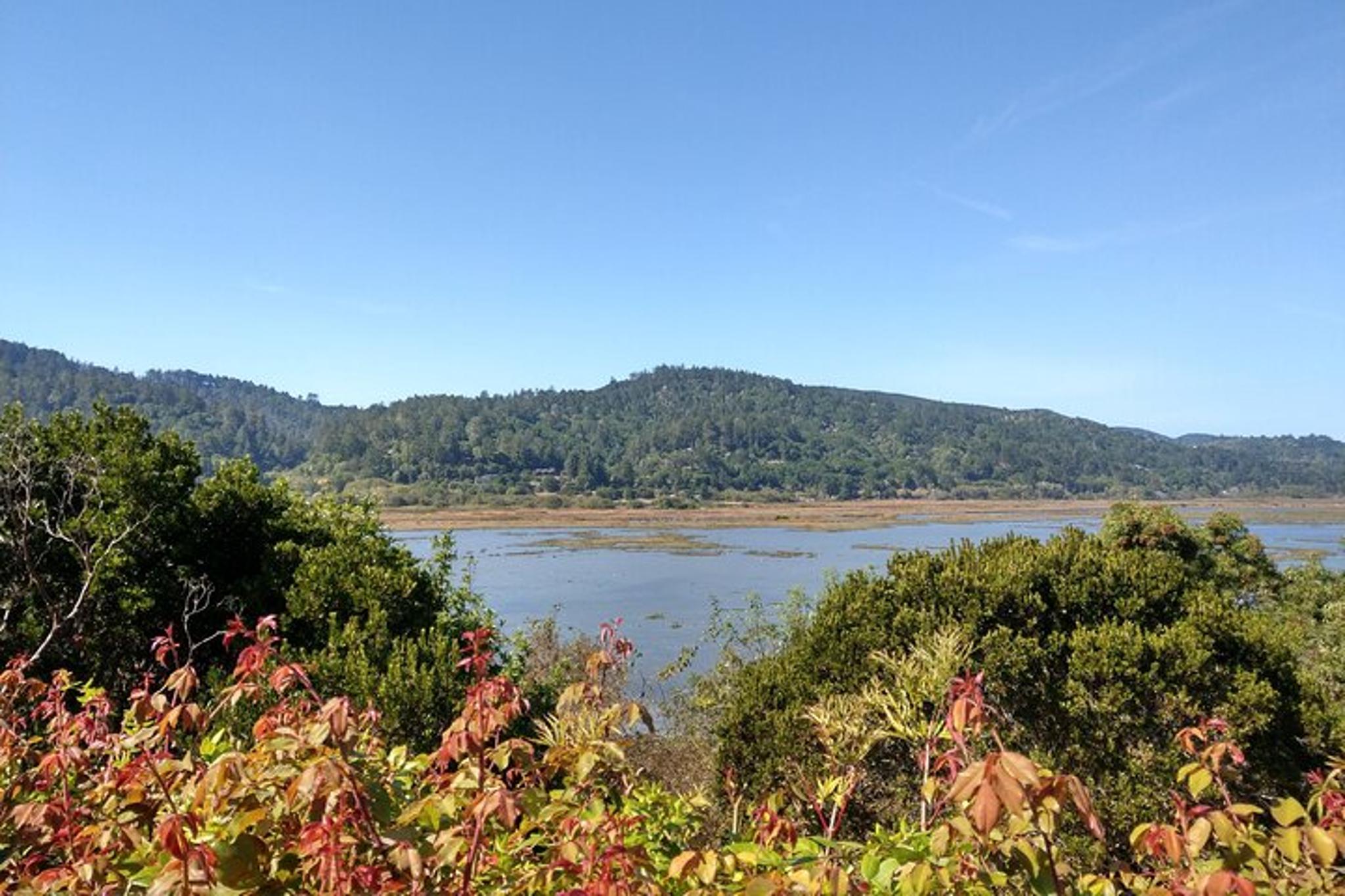 Point Reyes National Seashore Self-Guided Audio Tour - Image 6