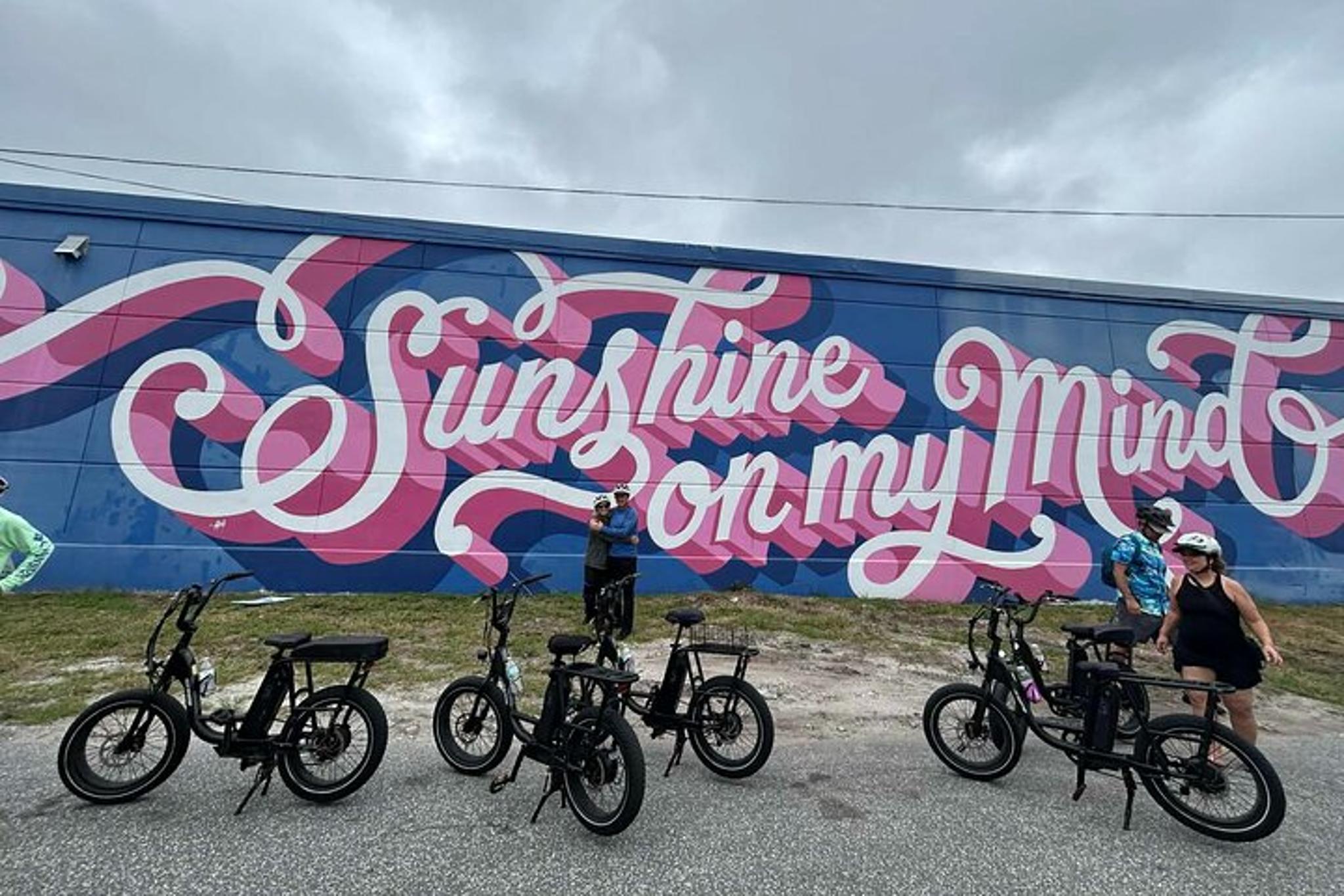 St Petersburg E-Bike Tour: Sights & Murals - Image 4