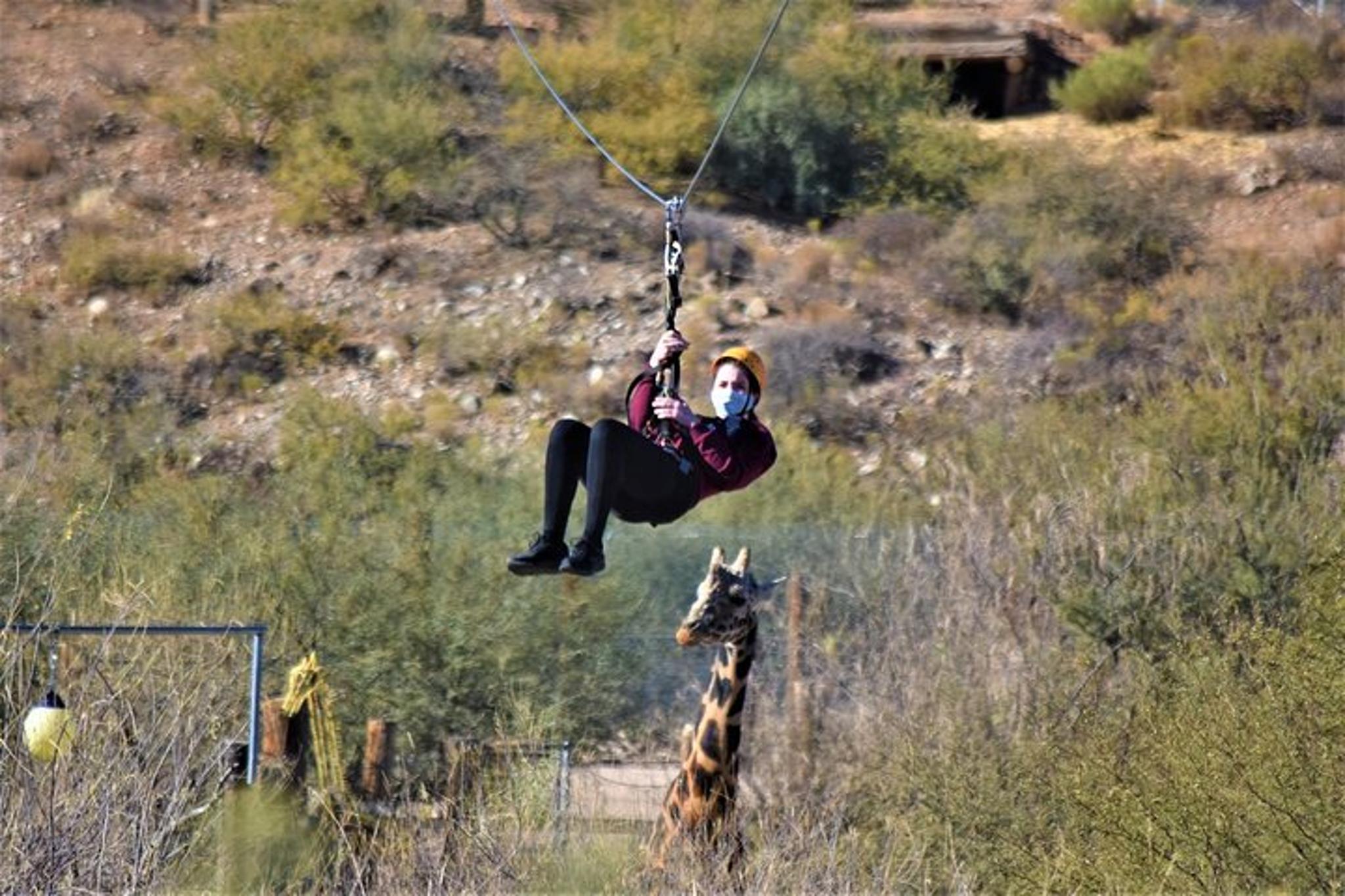 Sedona Zip Line Tour at Out of Africa Wildlife Park - Image 6