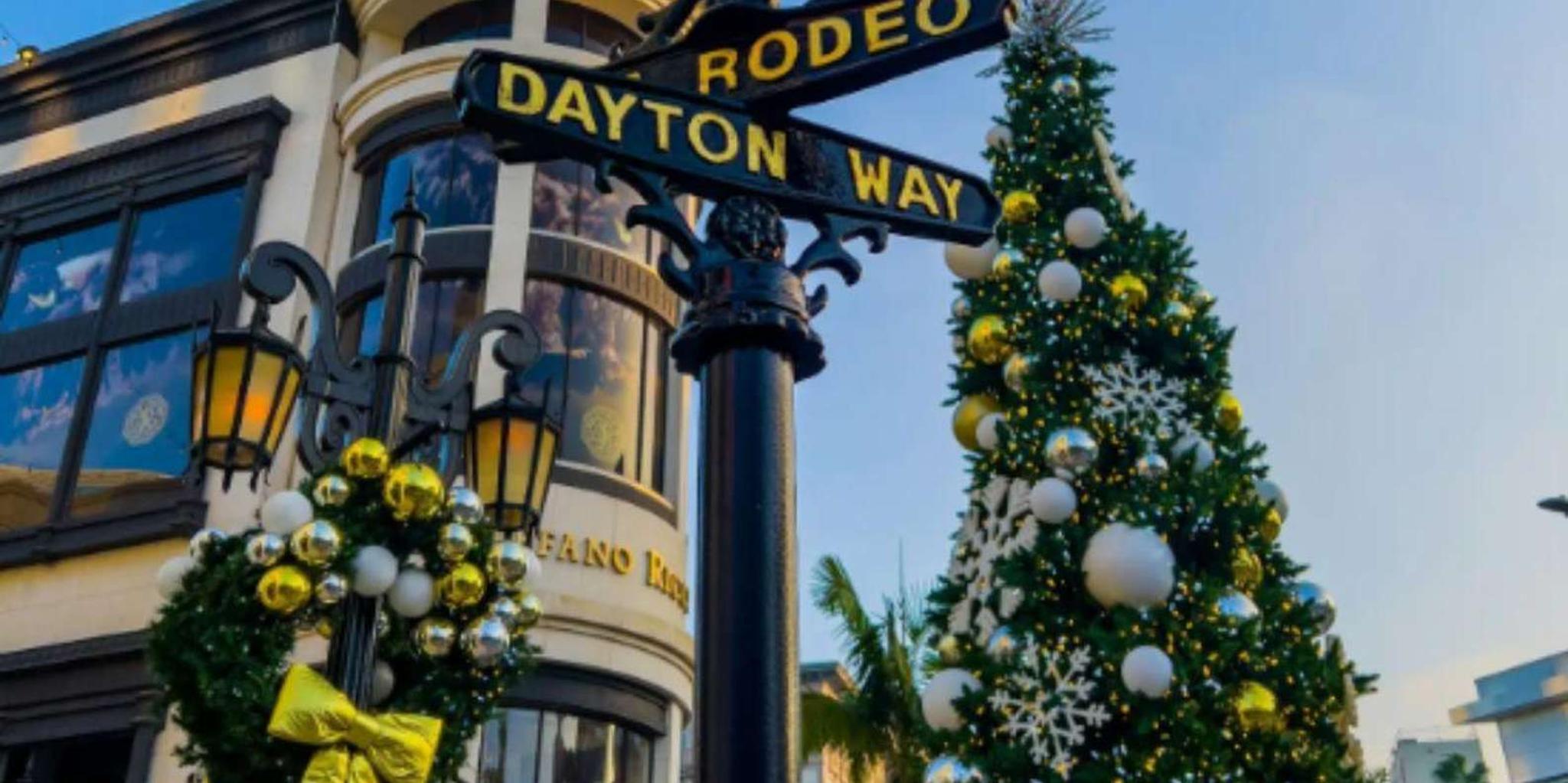 Los Angeles Holiday Lights Tour with LACMA Stop - Image 3