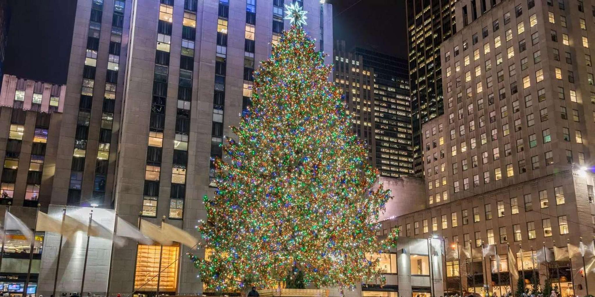 San Francisco Christmas Lights Tour with Cider - Image 5