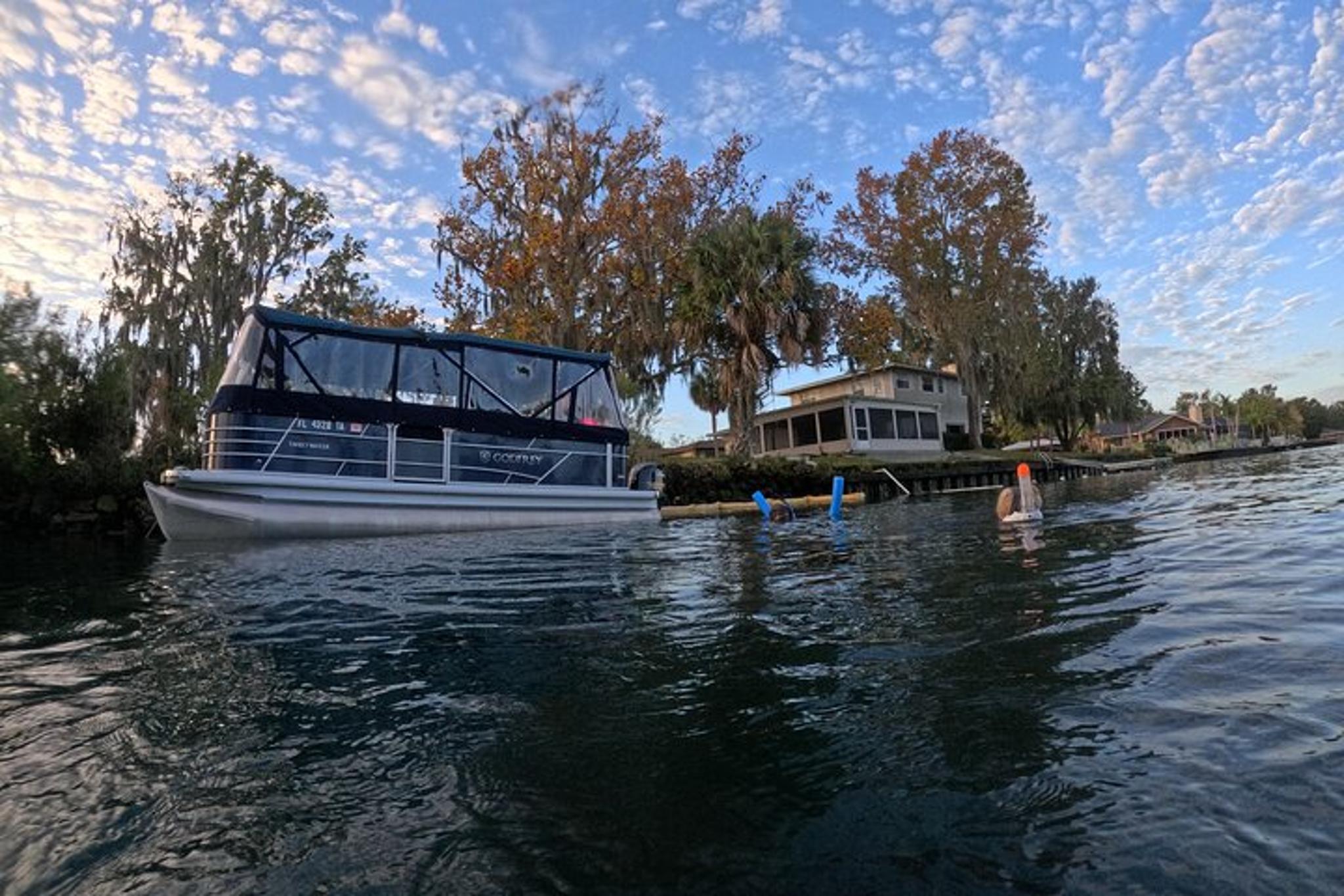 Crystal River Manatee Watching Cruise 90 min - Image 6