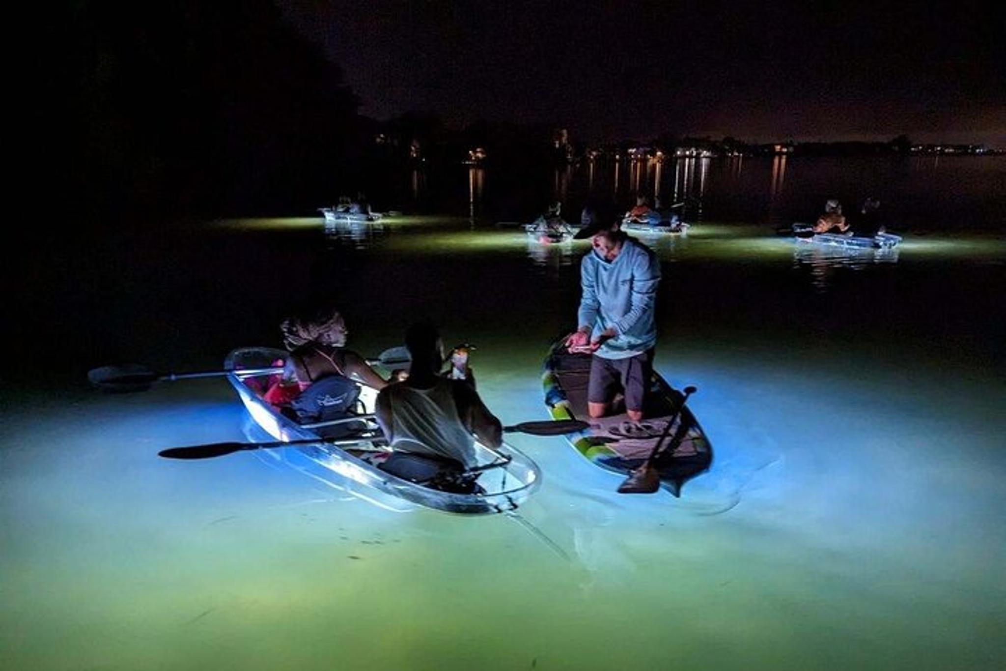 Sarasota Clear Kayak LED Night Tour - Image 5