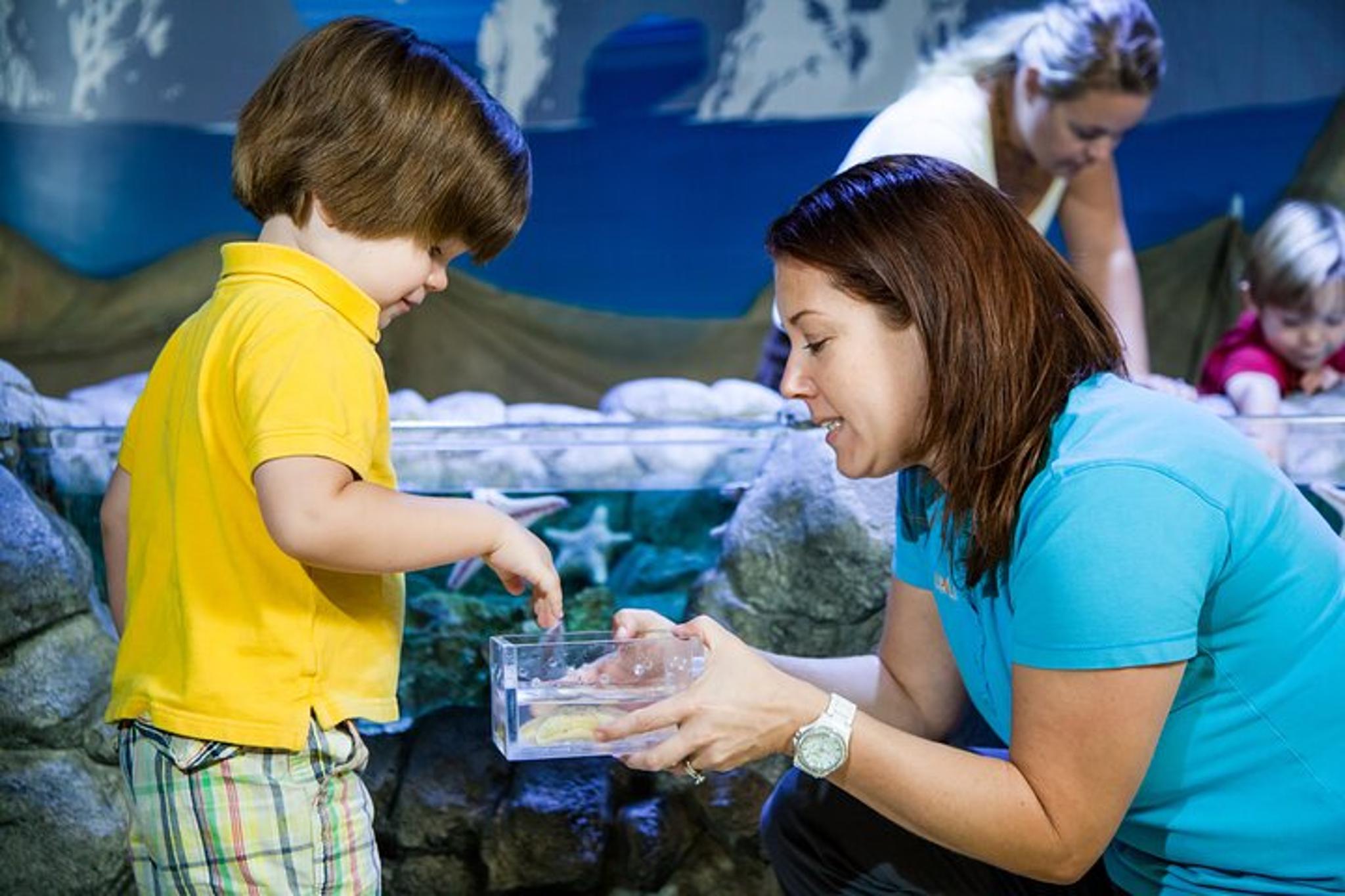 Auburn Hills Aquarium Admission - Image 4