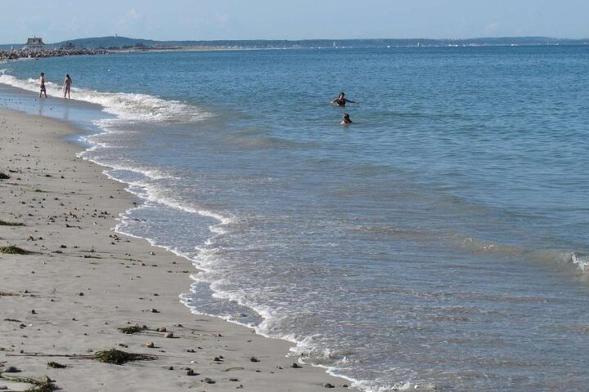 Plymouth Beach Ferry to Browns Bank Sandbar - Image 5