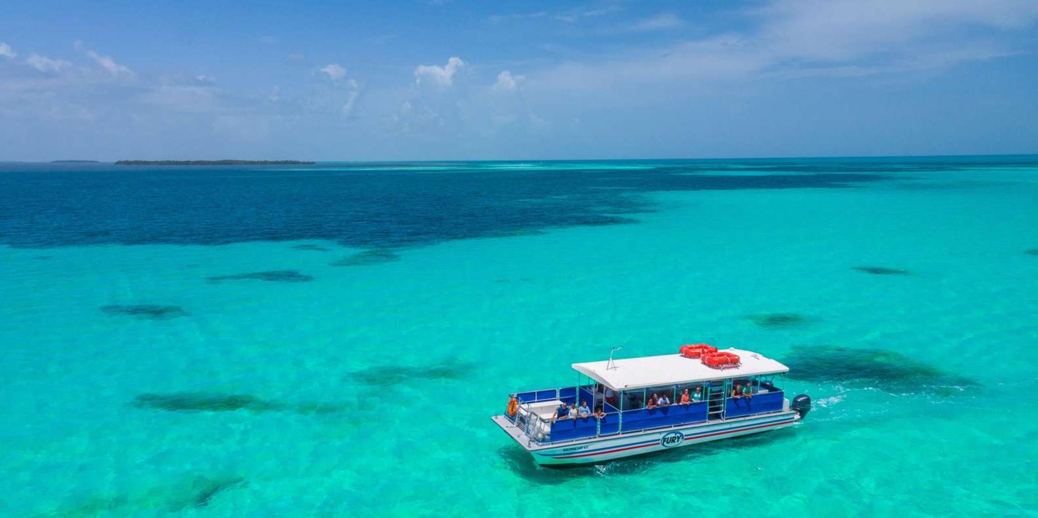 Key West Dolphin Watching and Snorkeling Eco Cruise - Image 2