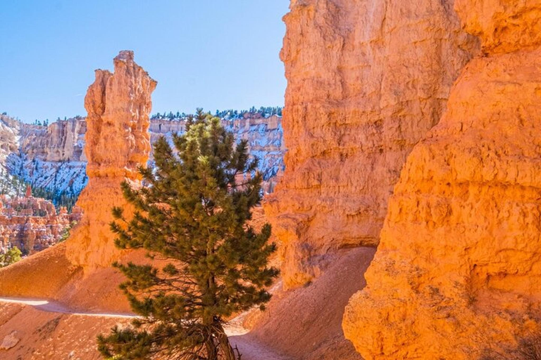 Las Vegas Bryce Canyon and Zion National Park Tour - Image 5