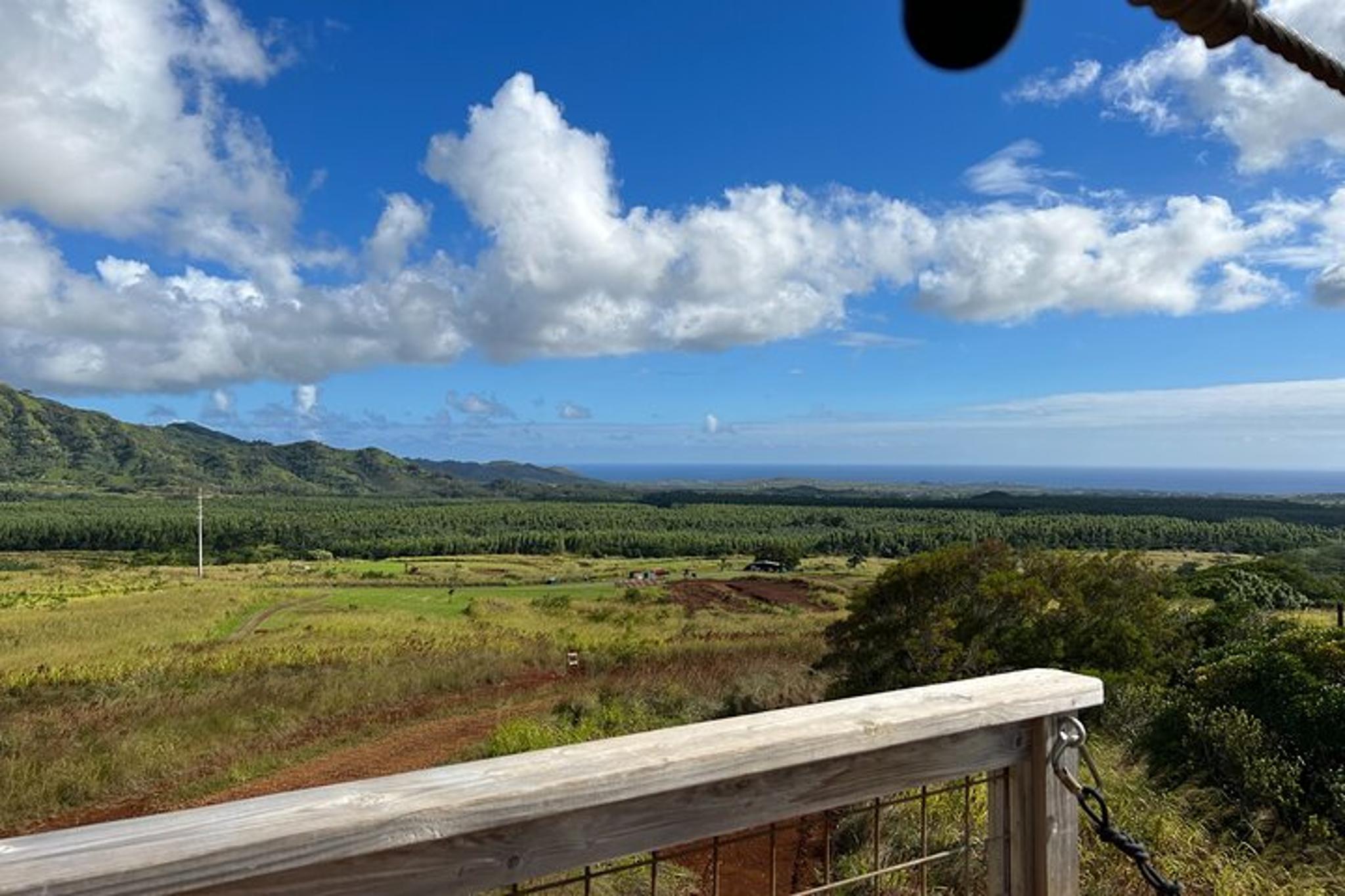 Kauai Zipline Tour 2 hr - Image 4