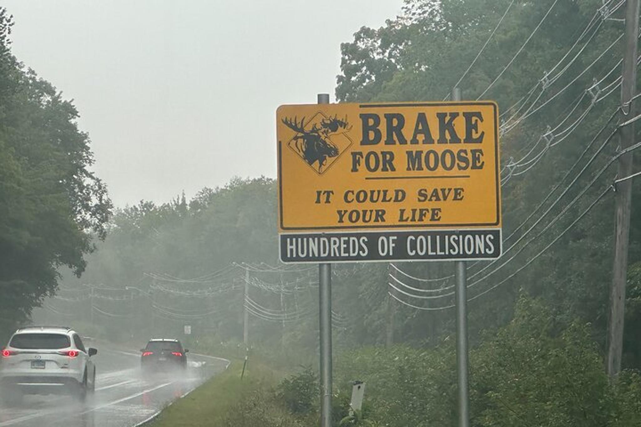 Kancamagus Highway Audio Driving Tour - Image 4