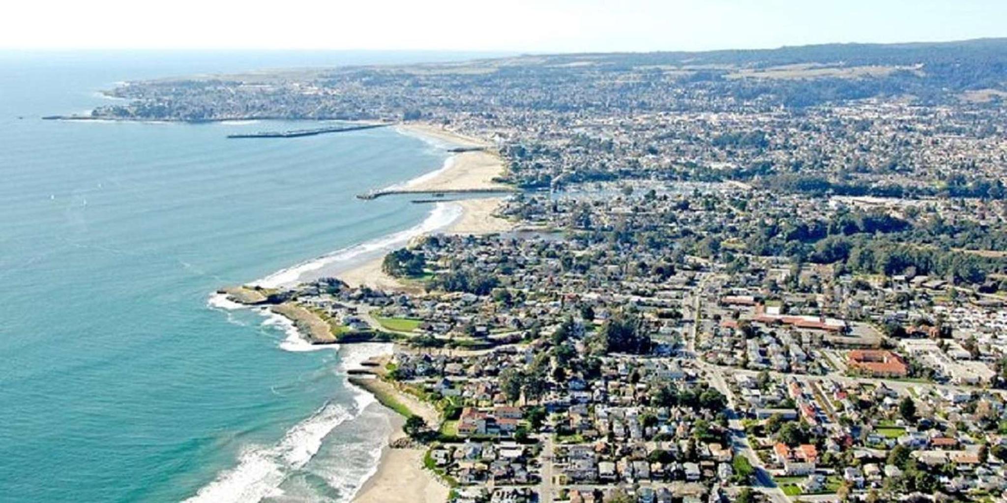 San Francisco Redwood Forest & Santa Cruz Day Trip - Image 3