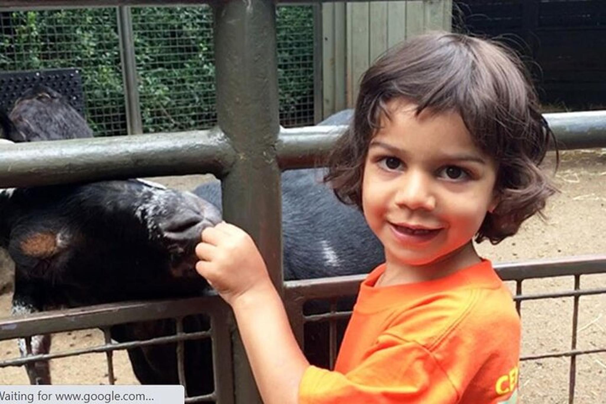 New York Central Park Zoo Admission with 4D Theater - Image 3