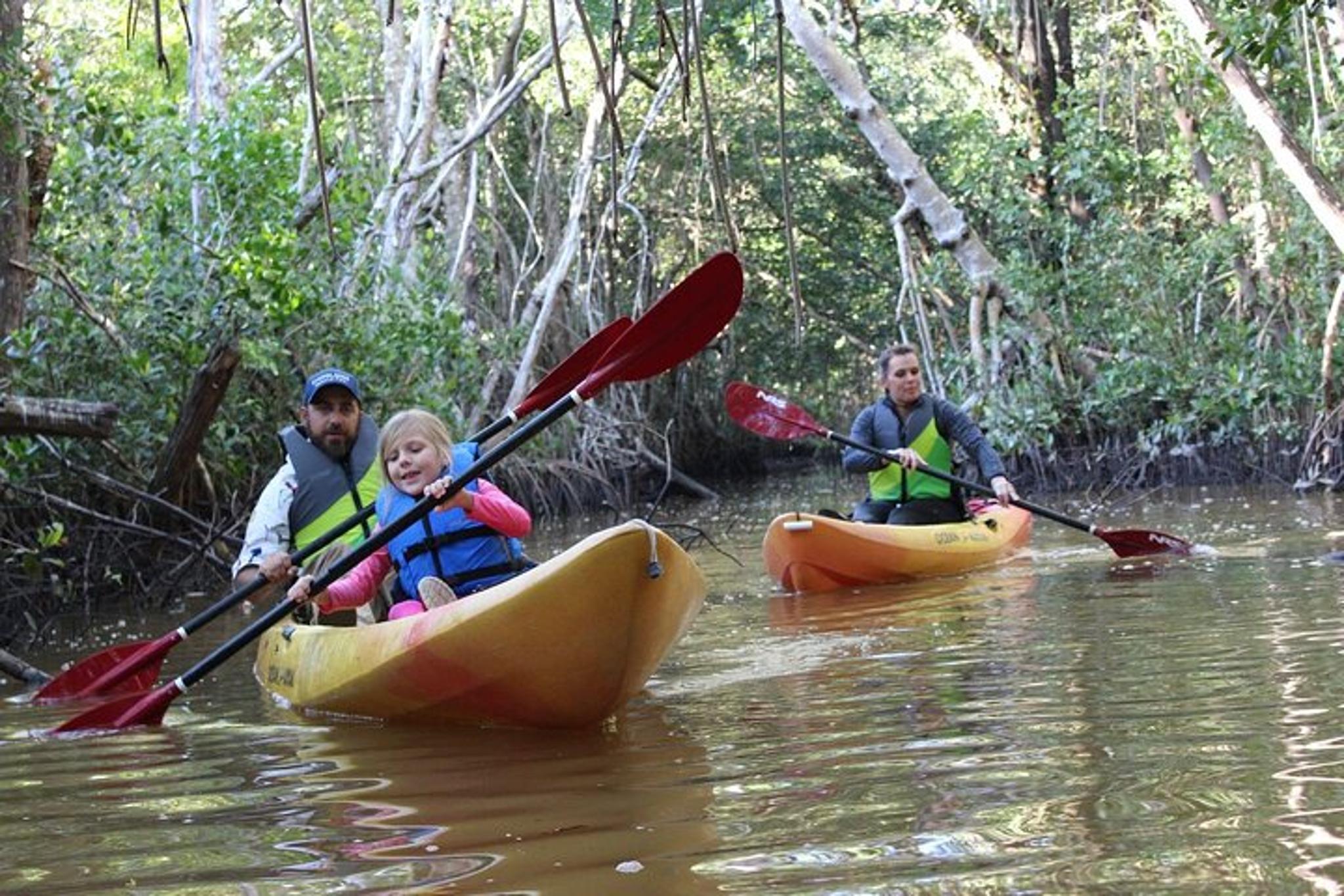 Everglades Kayak and Canoe Adventure