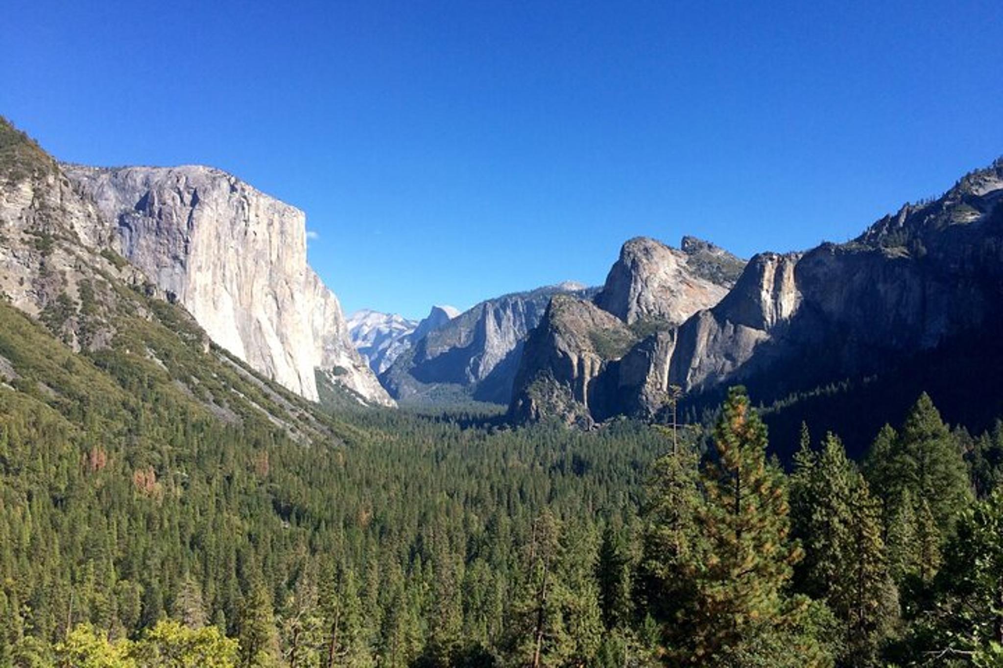 Yosemite Private Tour and Hike - Image 4