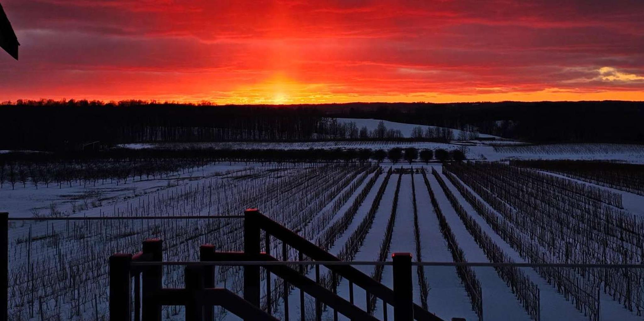 Traverse City Wine Tour at Sunset - Image 6