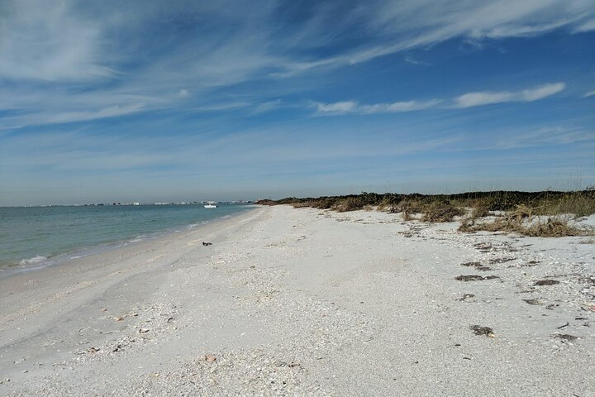 St. Pete Beach Dolphin Adventure and Shell Key Tour - Image 4