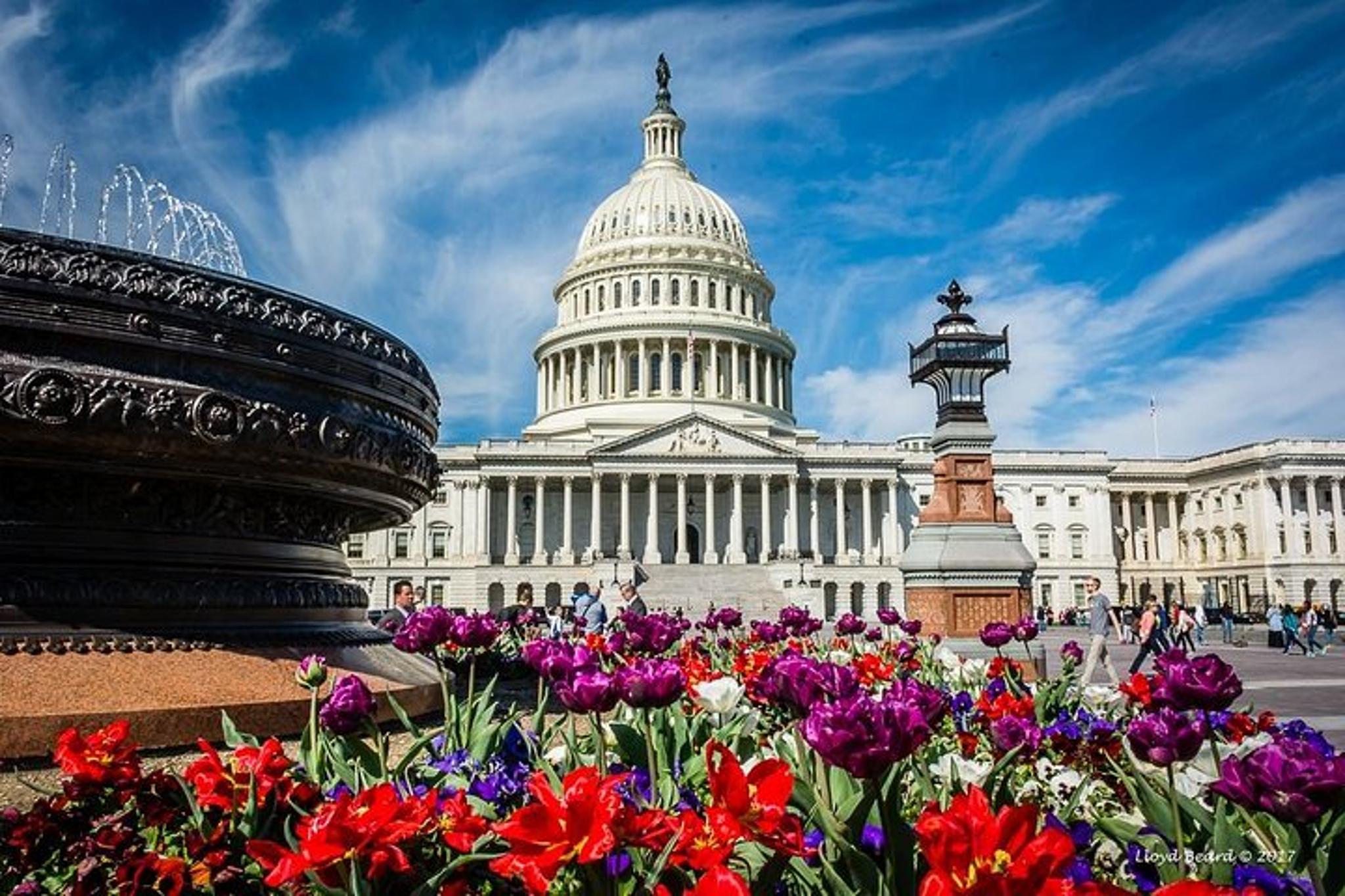 Washington, DC Private Tour for Small Groups - Image 2